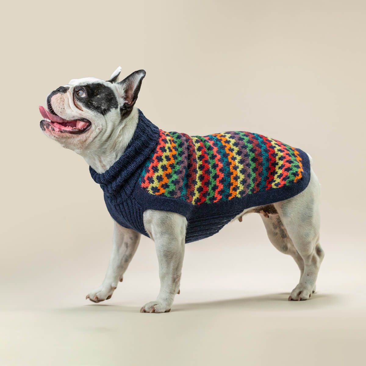 Pull pour Chien de Luxe | CROSSROADS Alpaga