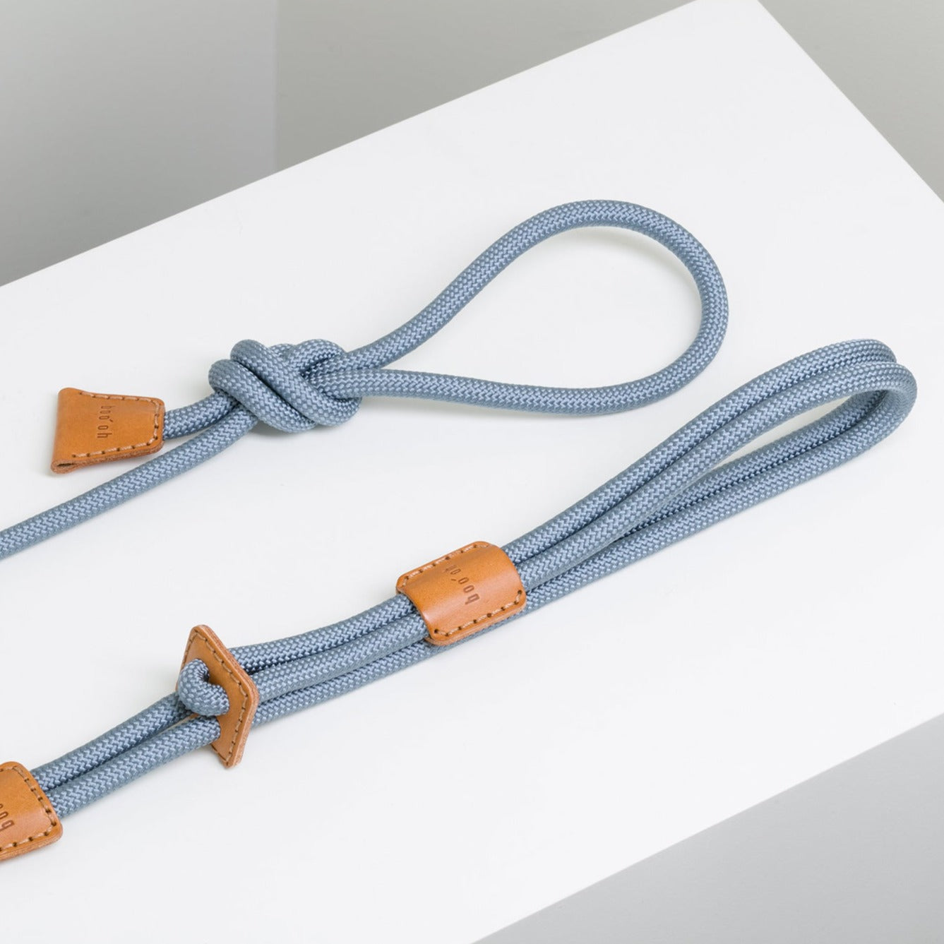 Harnais et Laisse pour Chien Tout en Un - RAY Bleu Pacifique