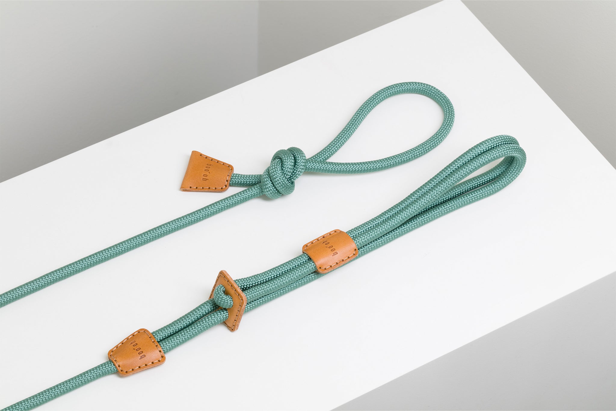 Harnais + Laisse pour Chien Tout en Un - RAY Vert émeraude