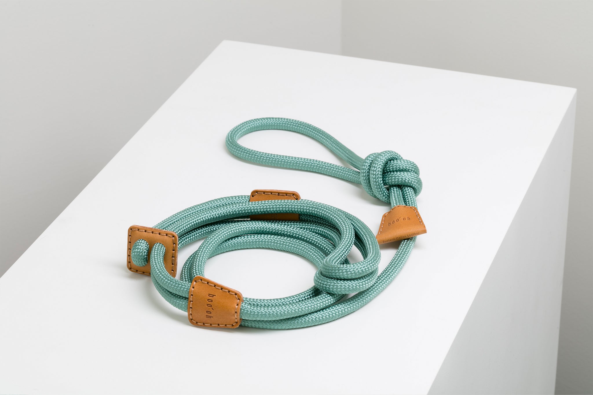 Harnais + Laisse pour Chien Tout en Un - RAY Vert émeraude