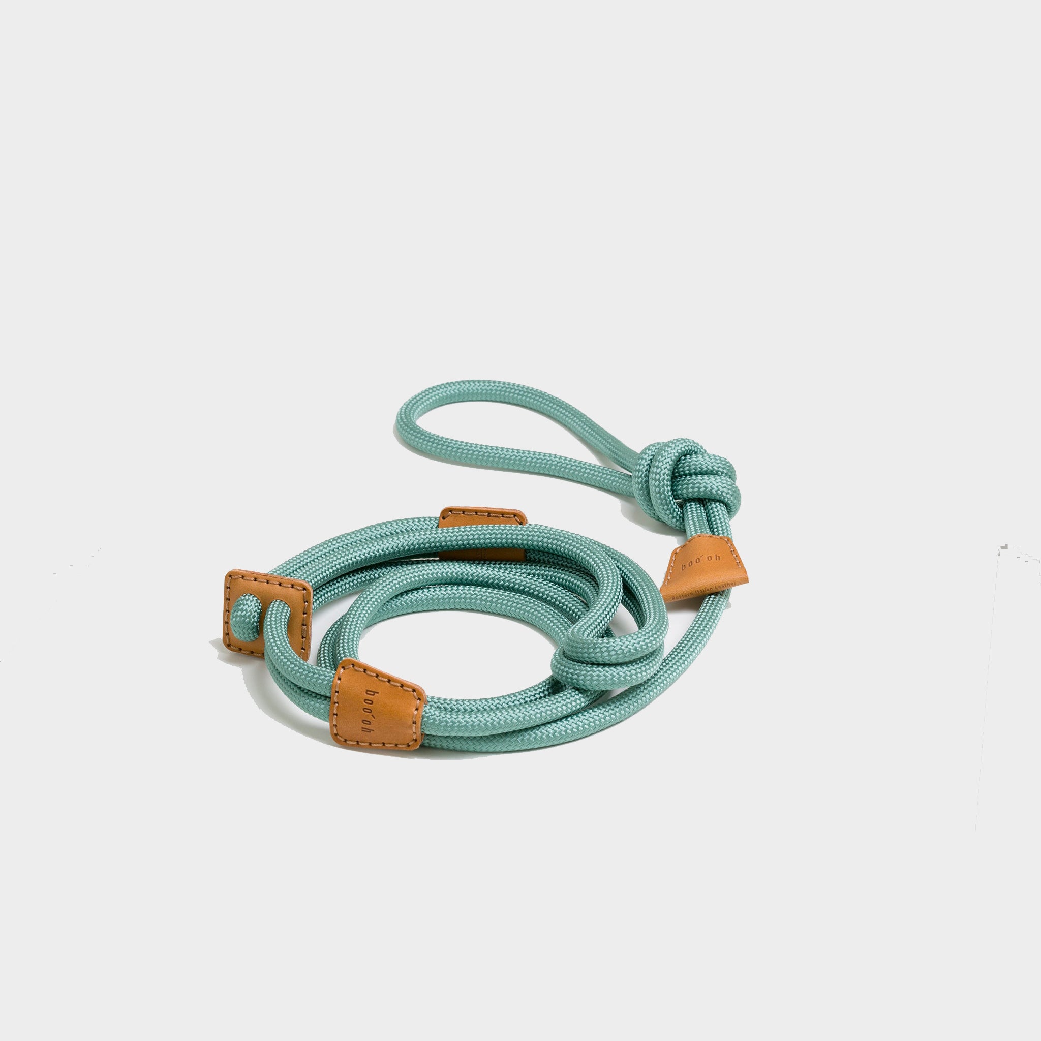 Harnais + Laisse pour Chien Tout en Un - RAY Vert émeraude