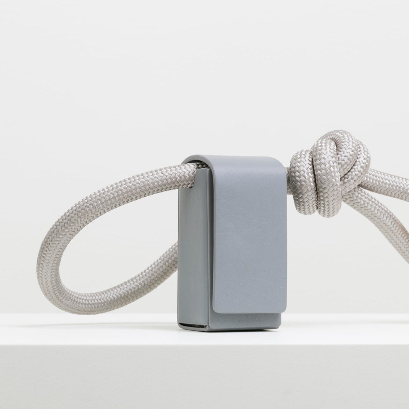 Harnais + Laisse pour Chien Design Tout en Un - RAY Gris clair