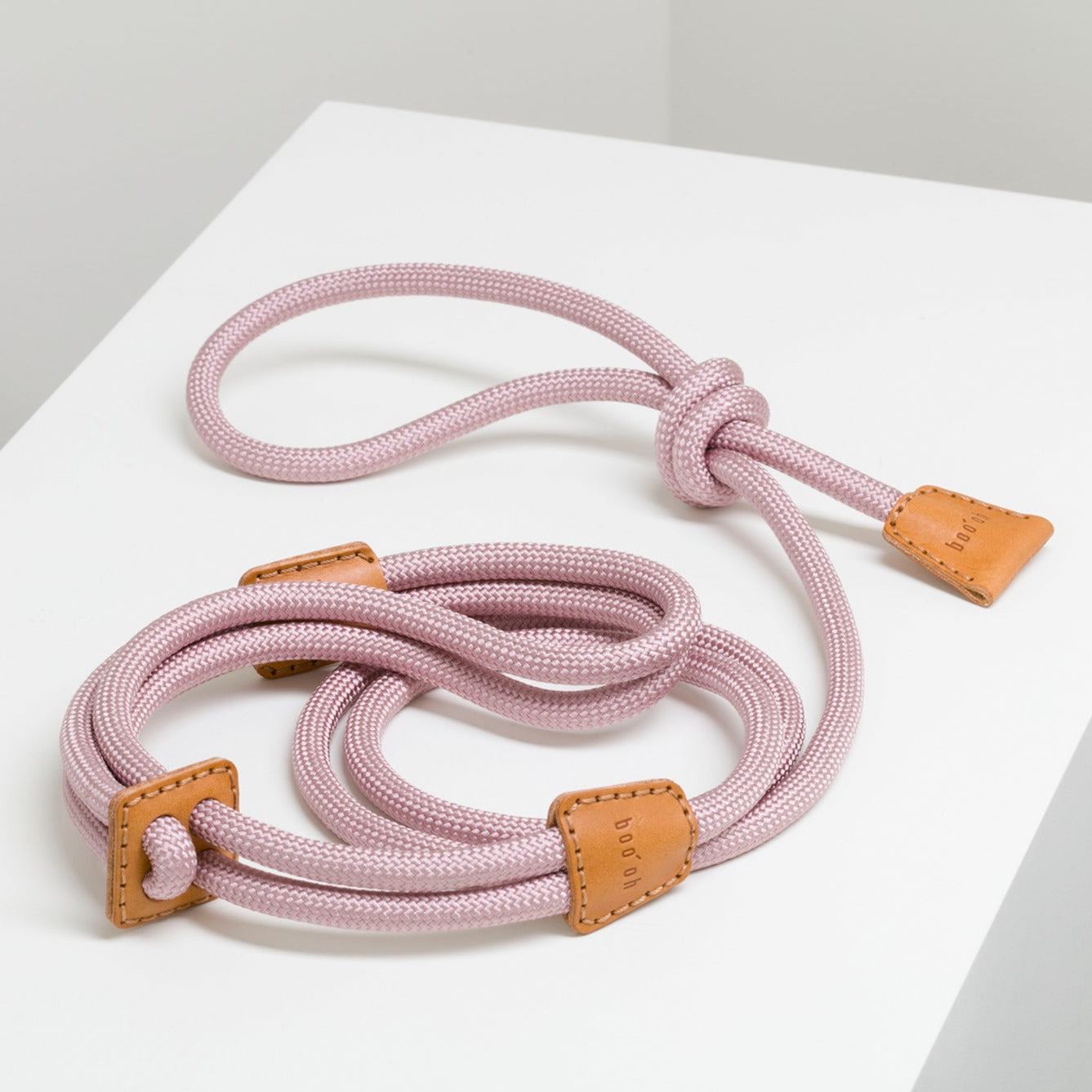 Laisse et Harnais pour Chien Design | Innovation 2 en 1 - RAY Rose