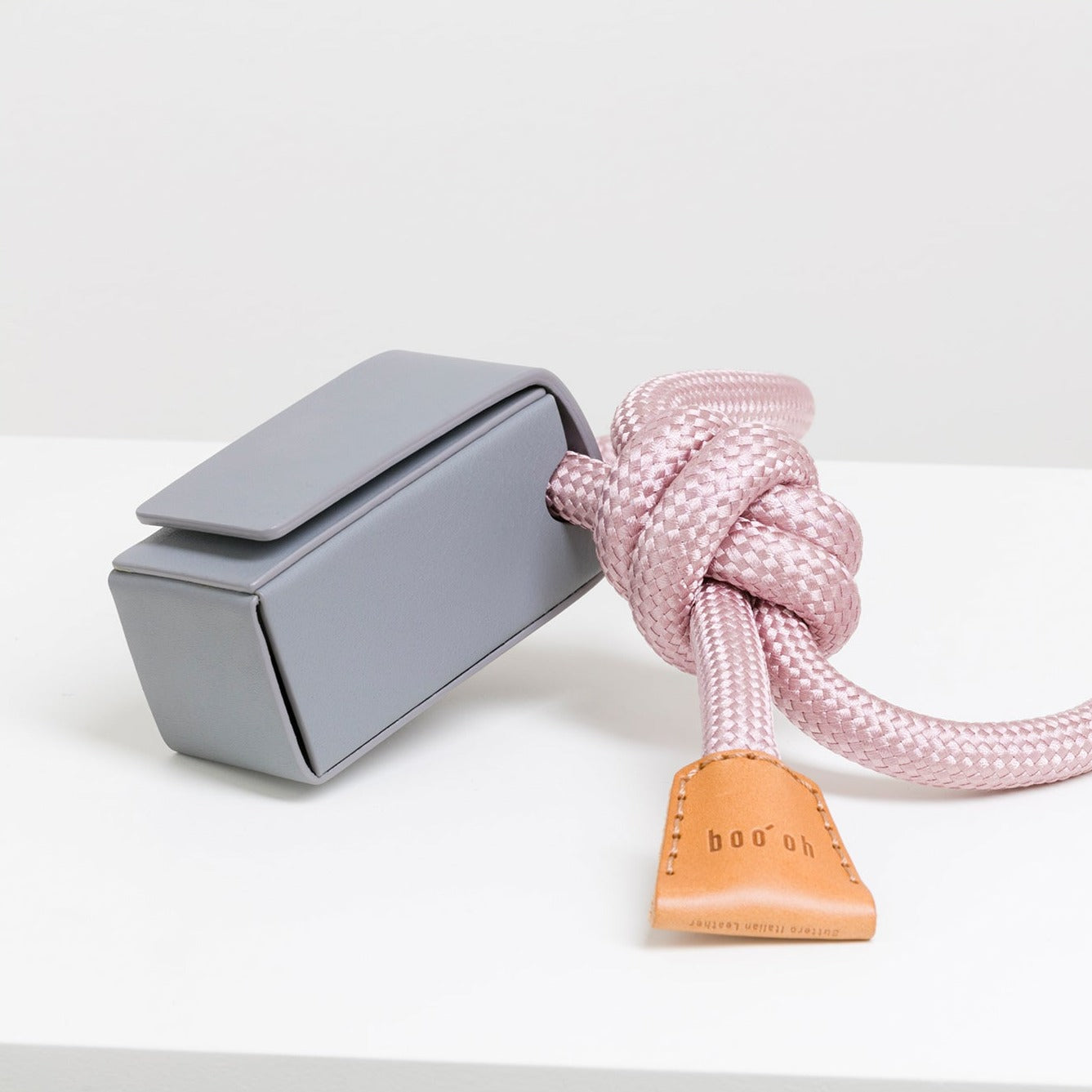 Laisse et Harnais pour Chien Design | Innovation 2 en 1 - RAY Rose