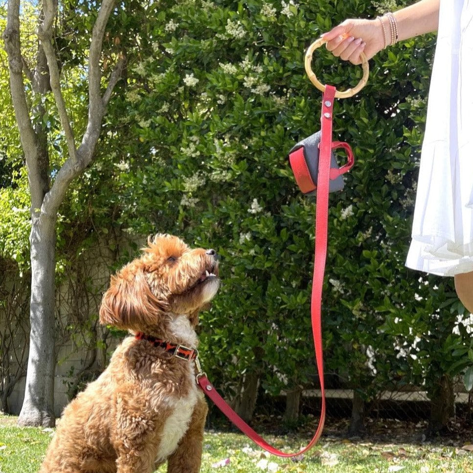 TAYLOR leopard rouge