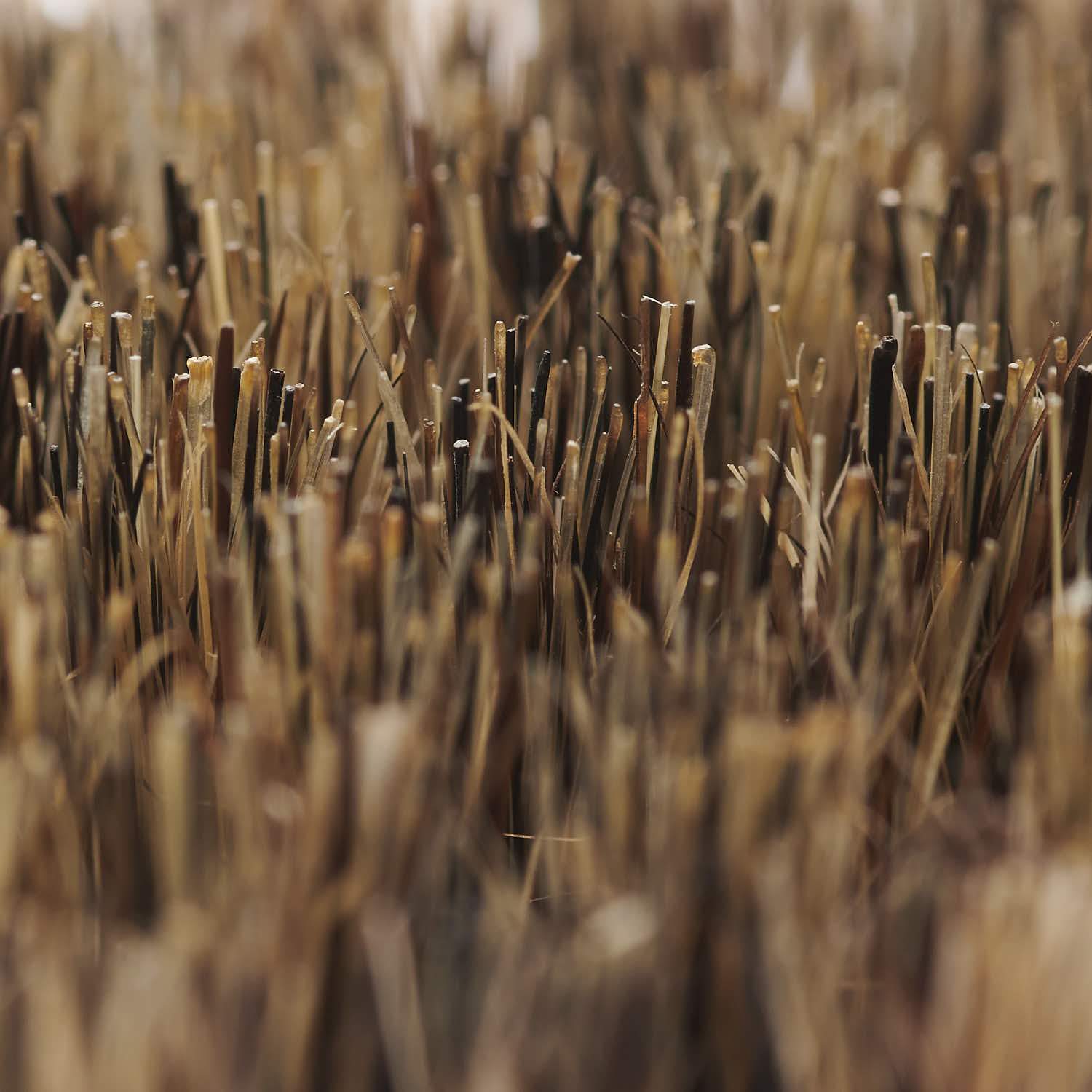 Rub Short Bristle Brush