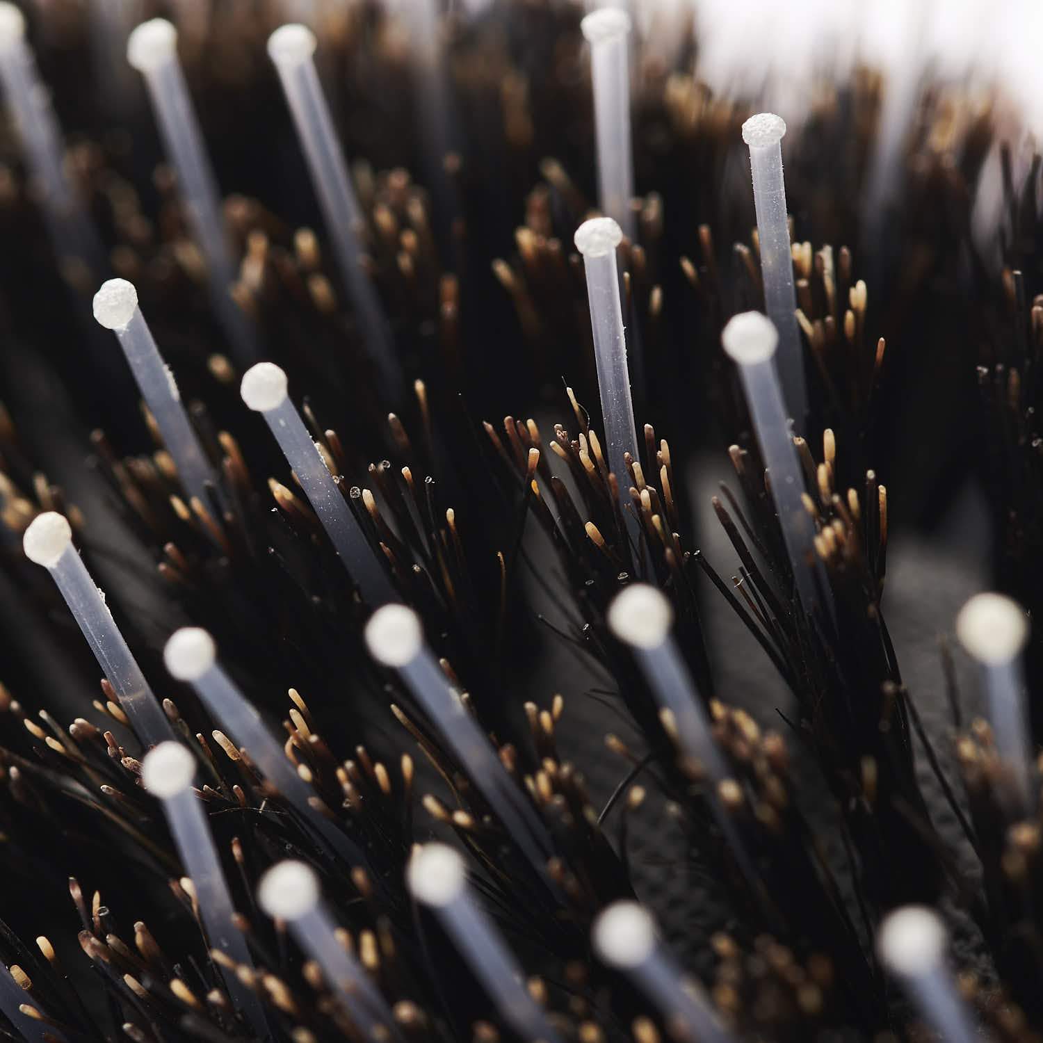 Resolve Long Bristle Brush