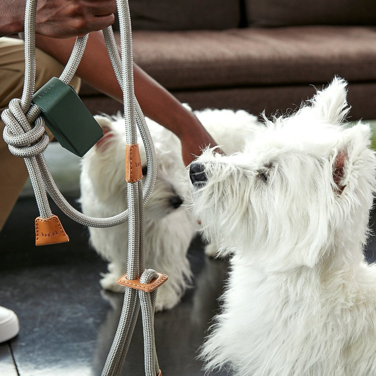 Harnais + Laisse pour Chien Design Tout en Un - RAY Gris clair
