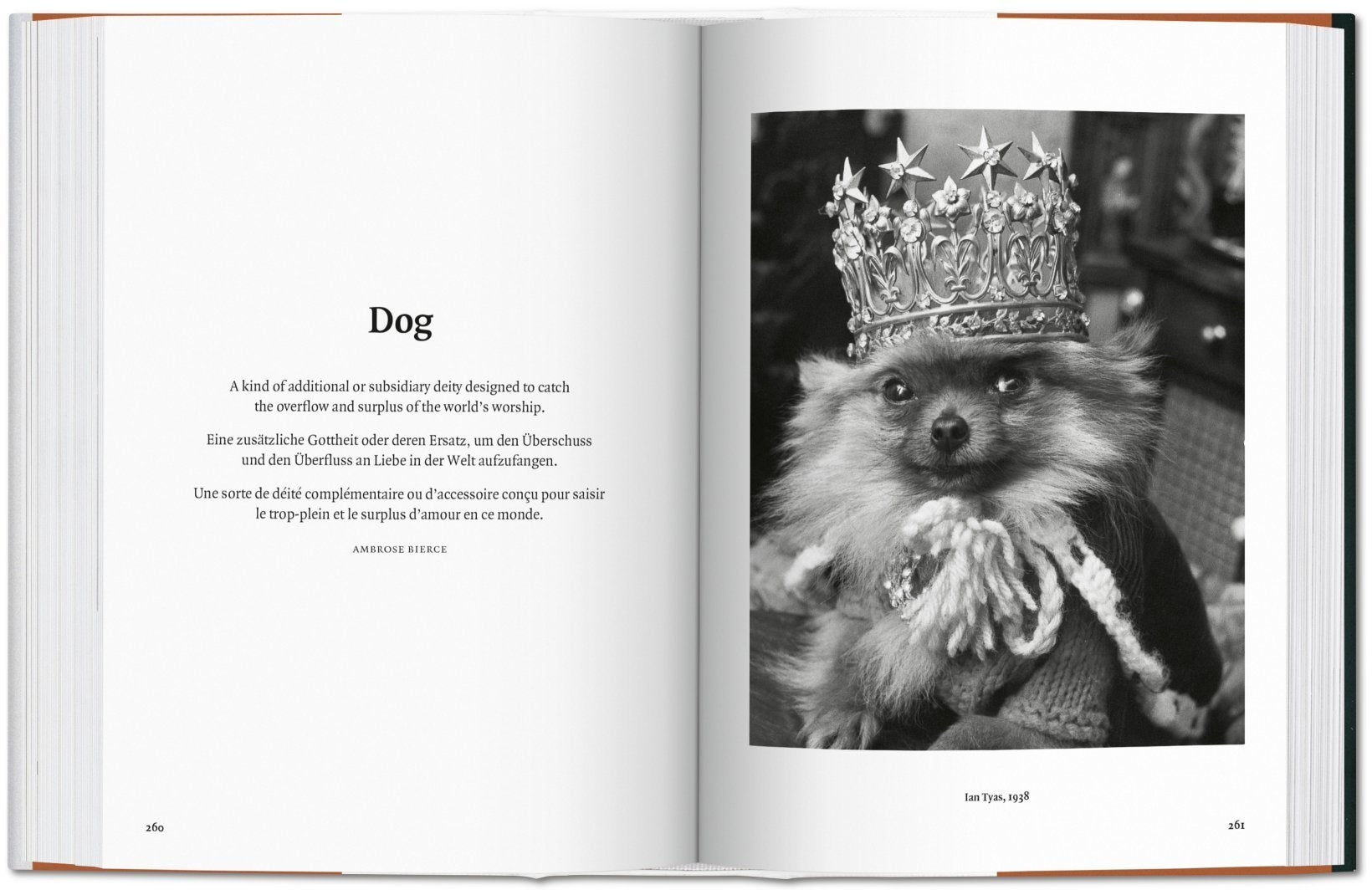THE DOG IN PHOTOHRAPHY 1839-TODAY