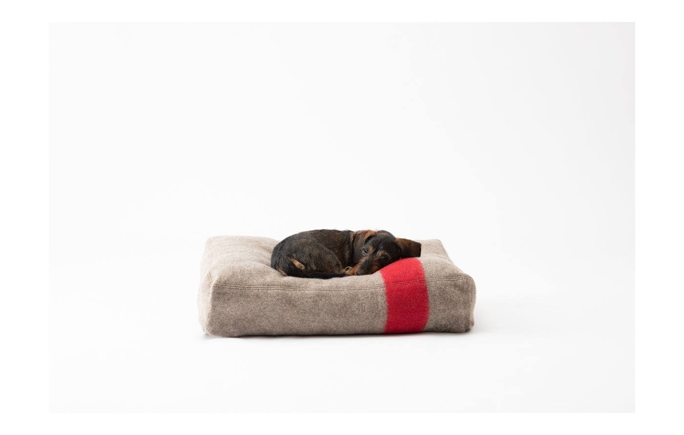 Elliott - Coussin Laine Recyclée