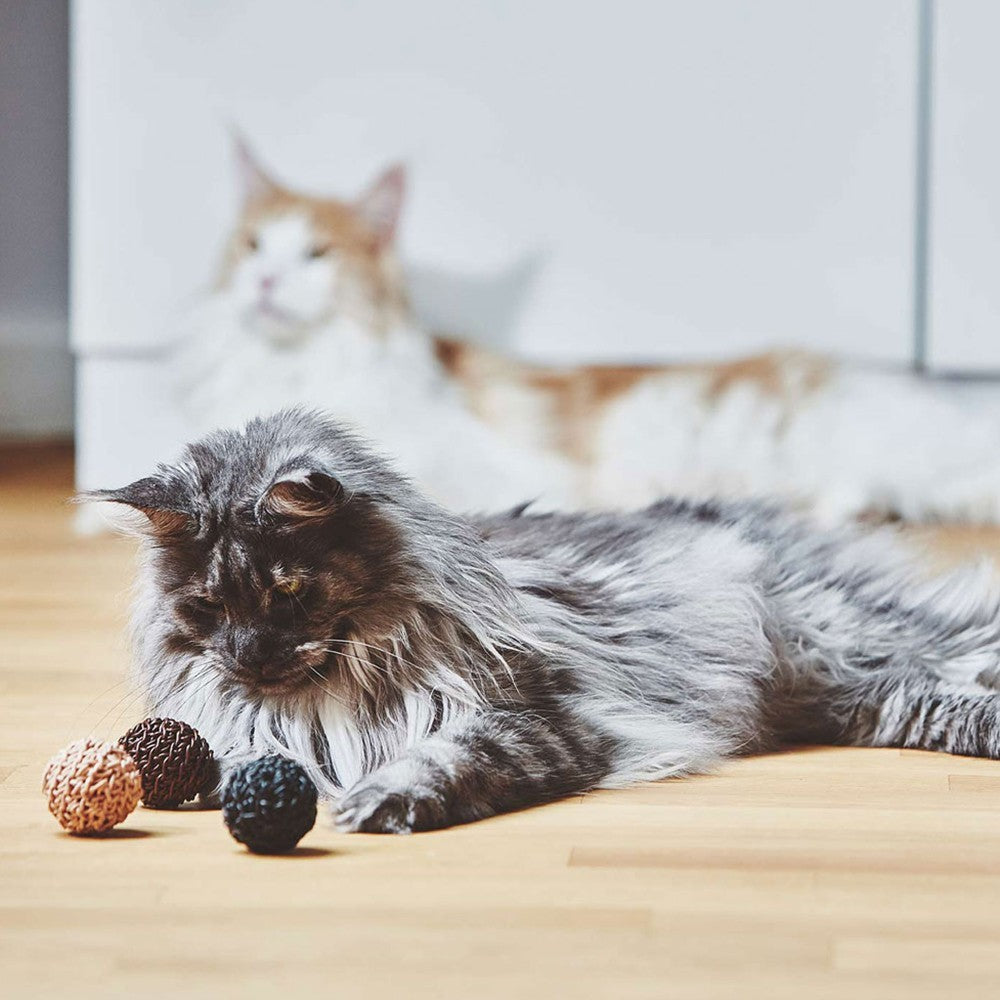 Jouet pour Chat - Balle en liège et cuir | FILO