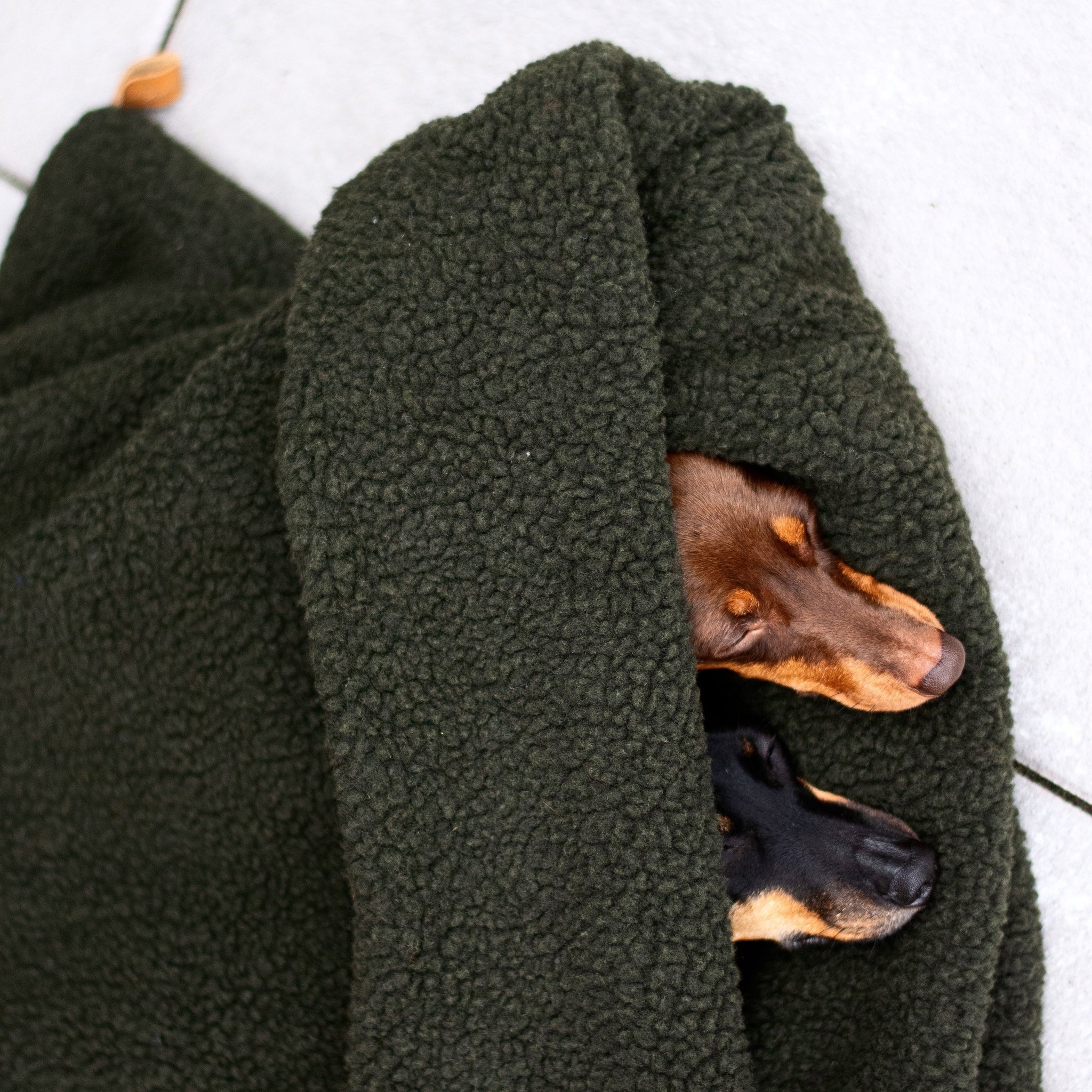 Plaid Cocoon pour Chien | Fabriqué à la main - TEDDY Green