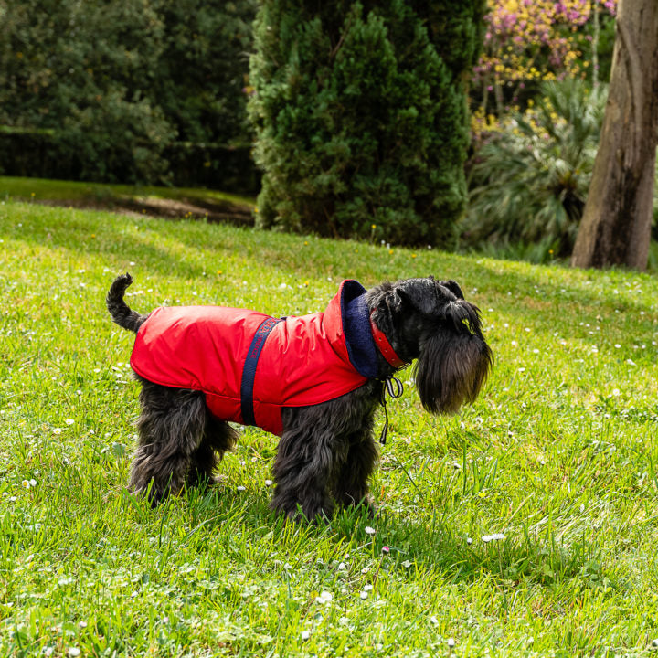 Imperméable pour Chien de Luxe - TERRY