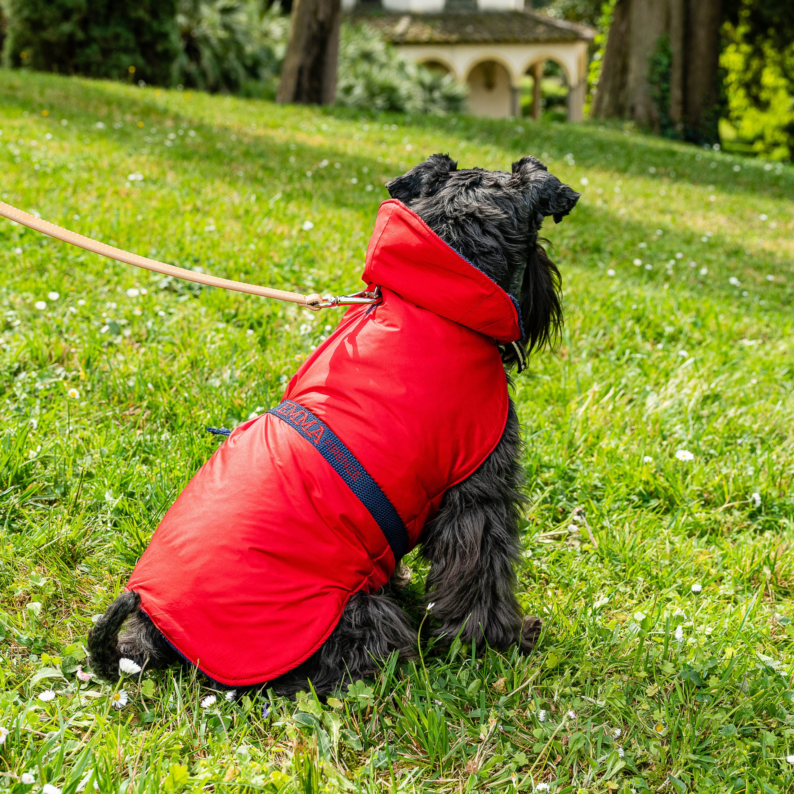 Imperméable pour Chien de Luxe - TERRY
