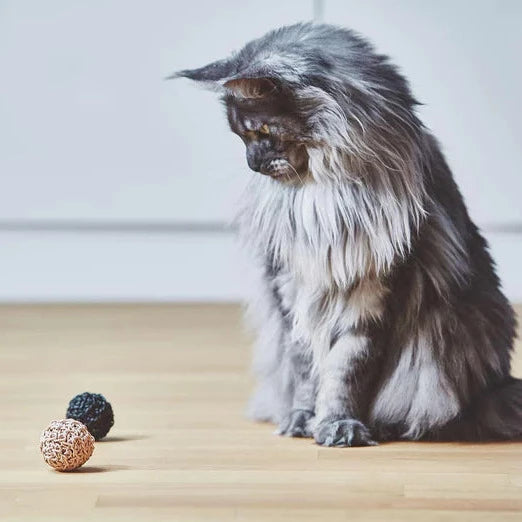 Jouet pour Chat - Balle en liège et cuir | FILO