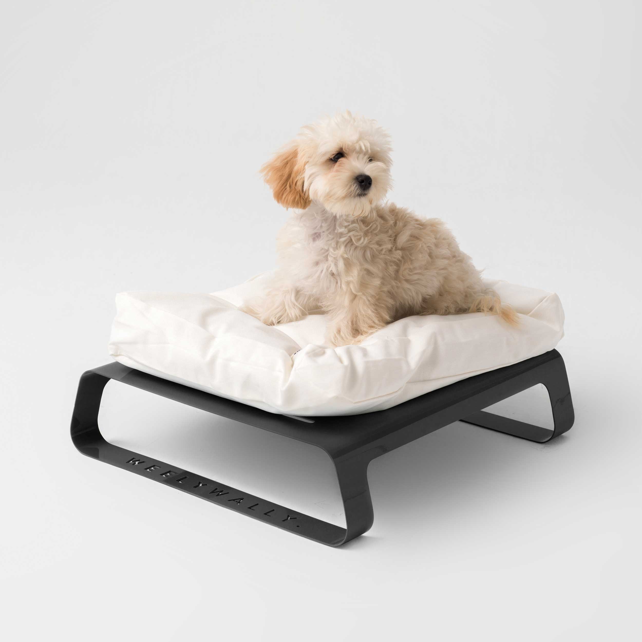 Standing cushion - Montreal