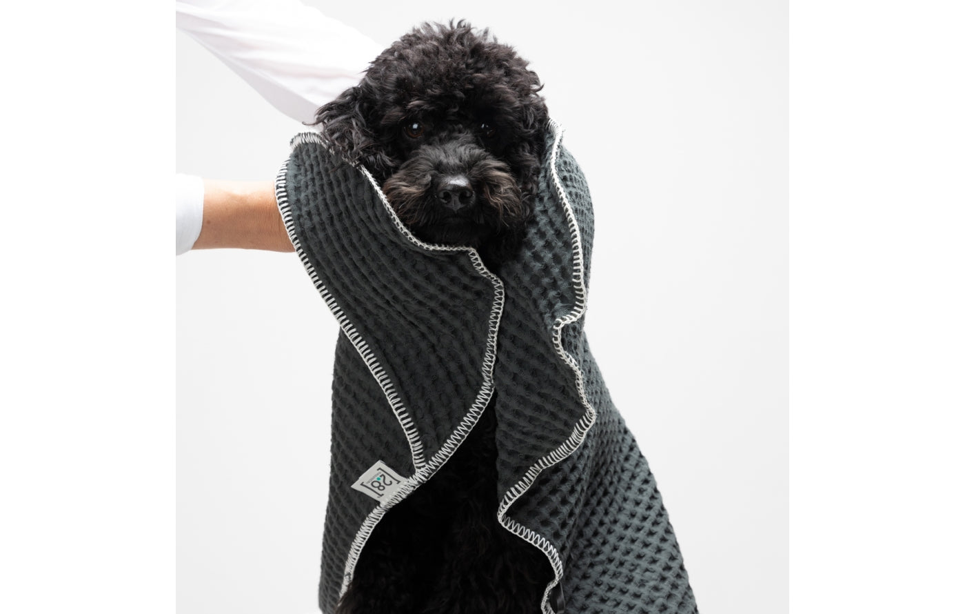 SALLY By Paola NAVONE