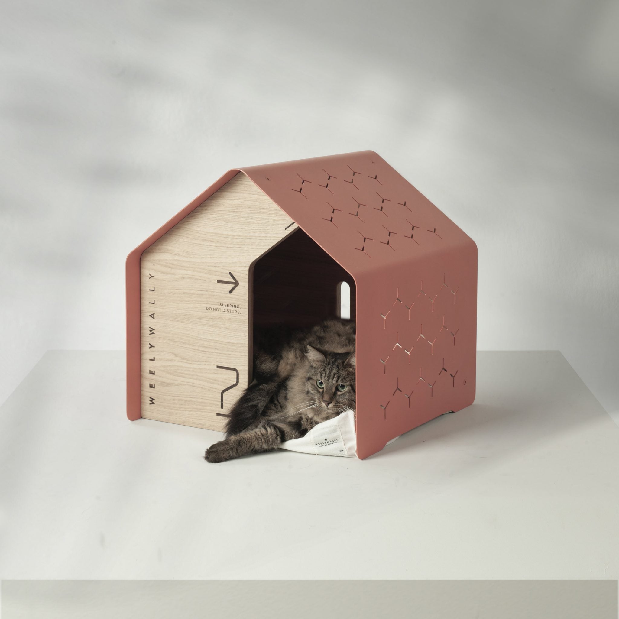 Maison pour Chat en Bois intérieur - SYDNEY