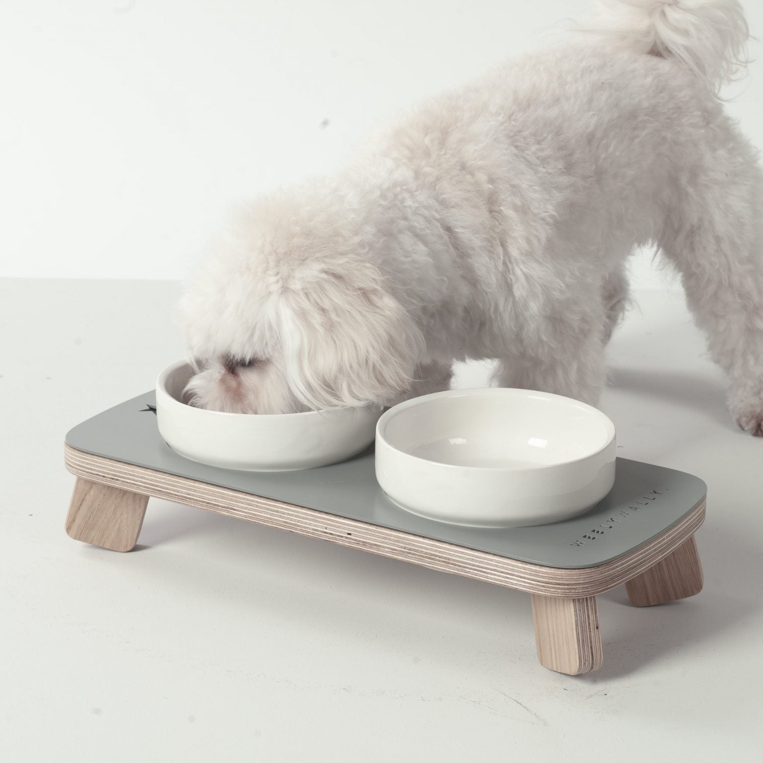 Gamelle pour Chien | Bois et Céramique - TOSCANA
