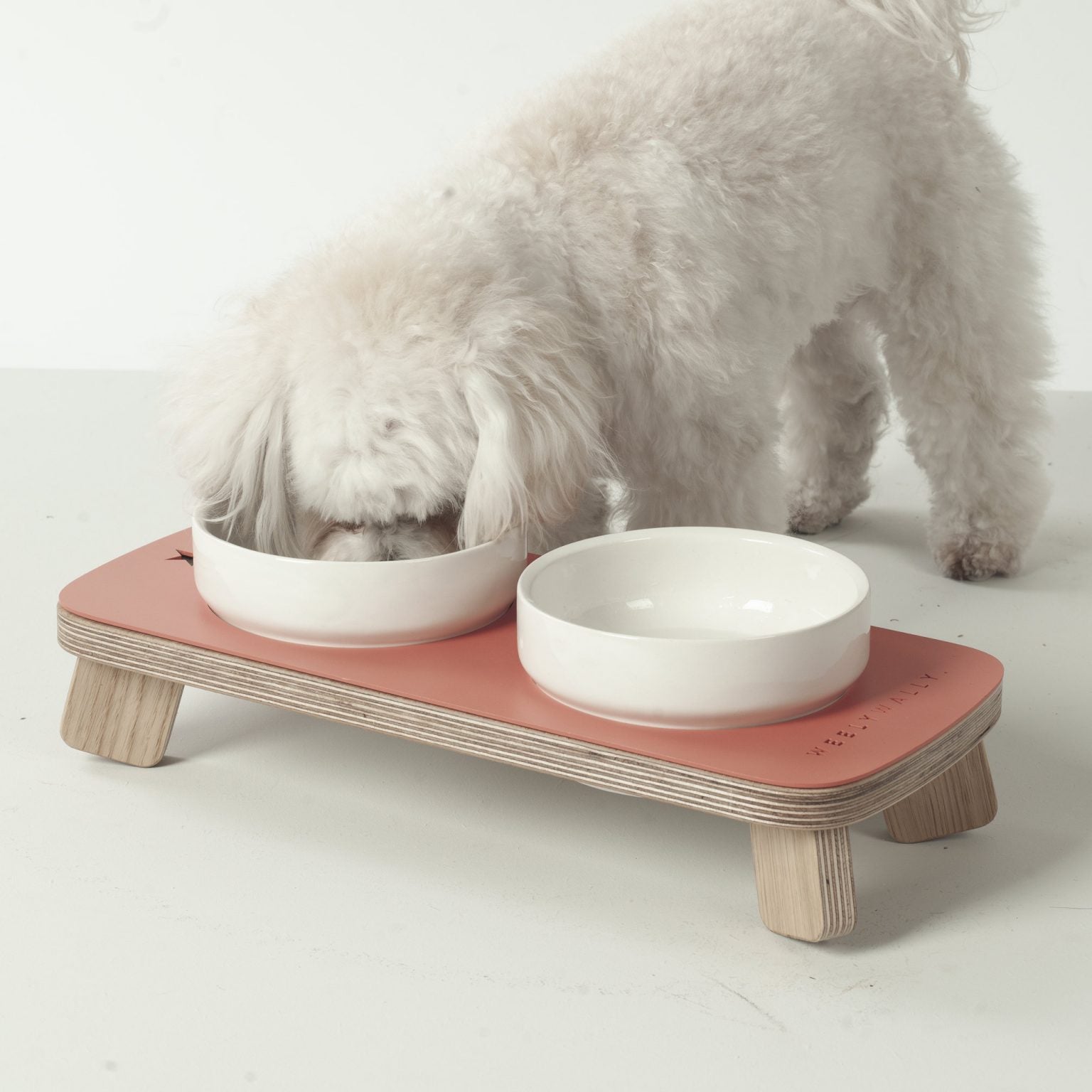 Gamelle pour Chien | Bois et Céramique - TOSCANA