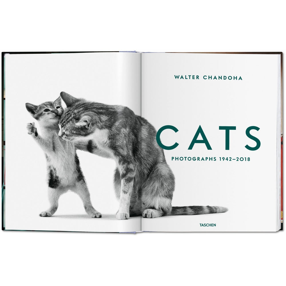 Livre sur les chats - Walter Chandoha. Cats. Photographs 1942–2018