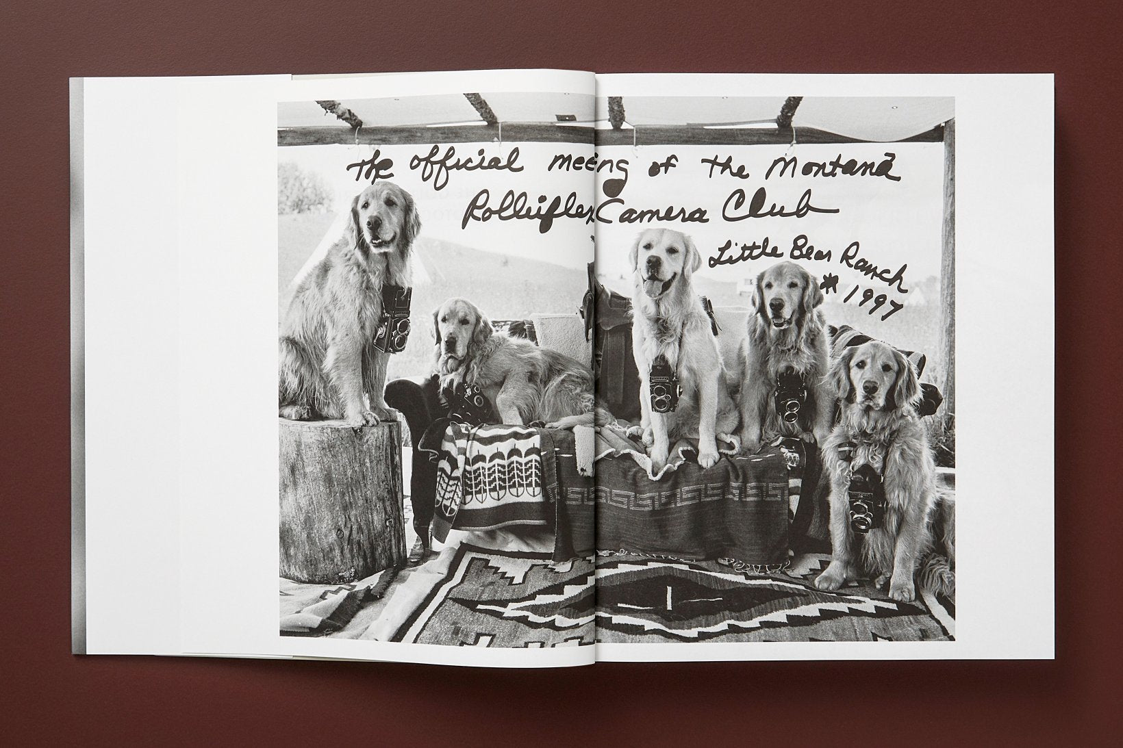 THE GOLDEN RETRIEVER PHOTOGRAPHIC SOCIETY