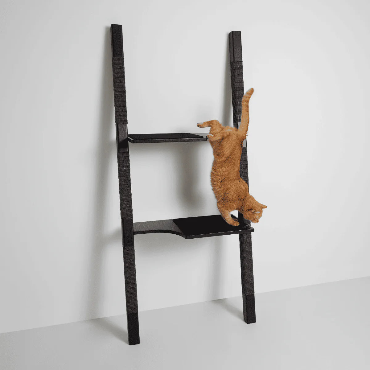 H2 arbre à chat design hêtre massif et sisal naturel – noir