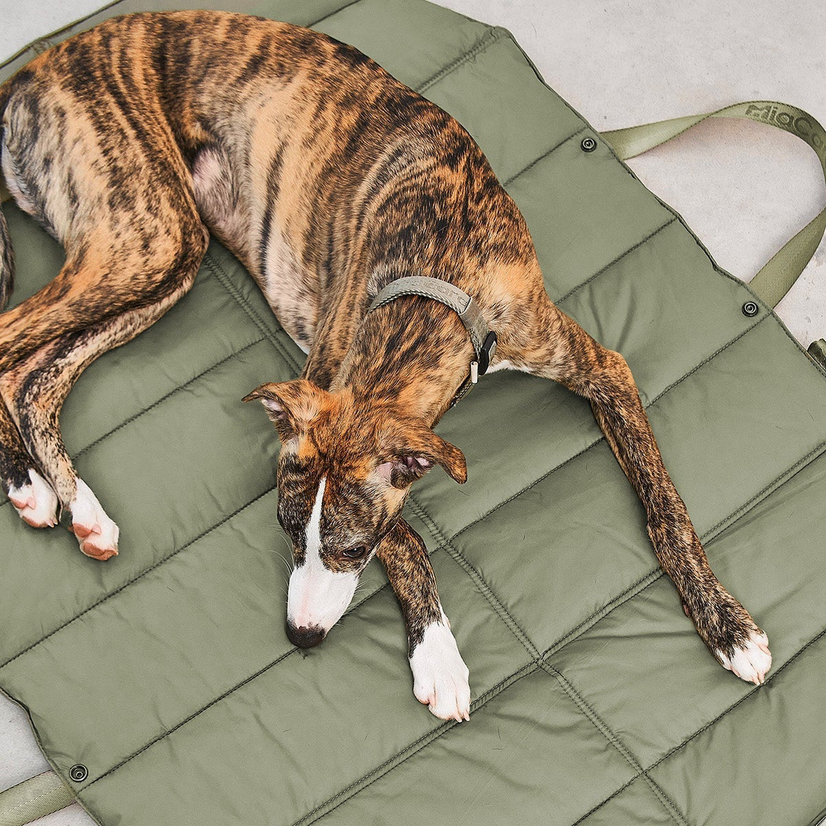 Strada TravelBed MiaCara en coloris Grolive