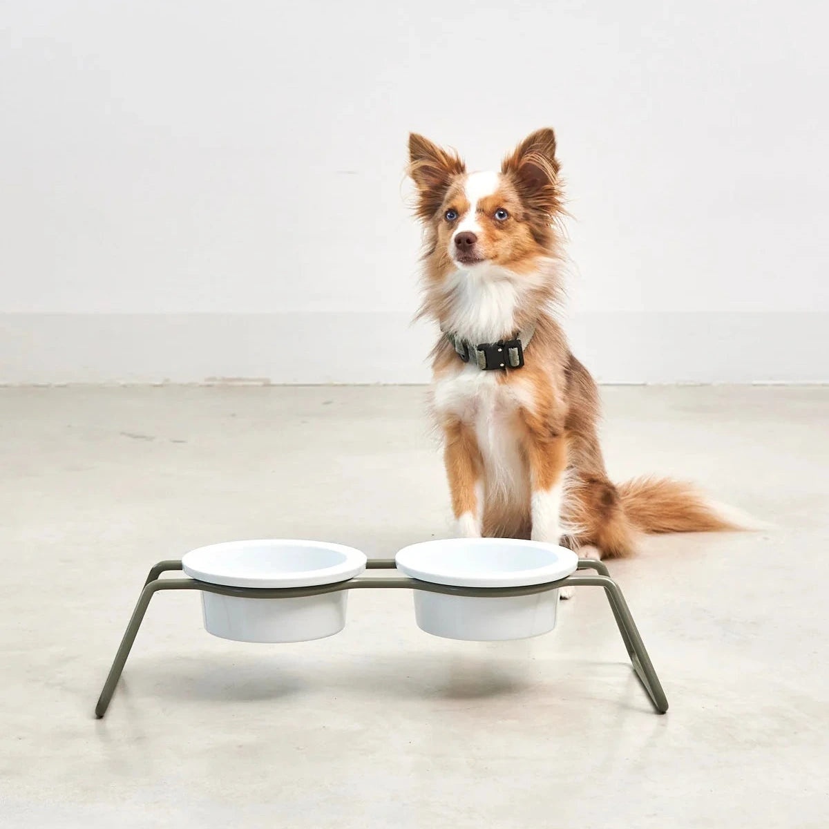 Bol minimaliste pour animal – intérieur contemporain