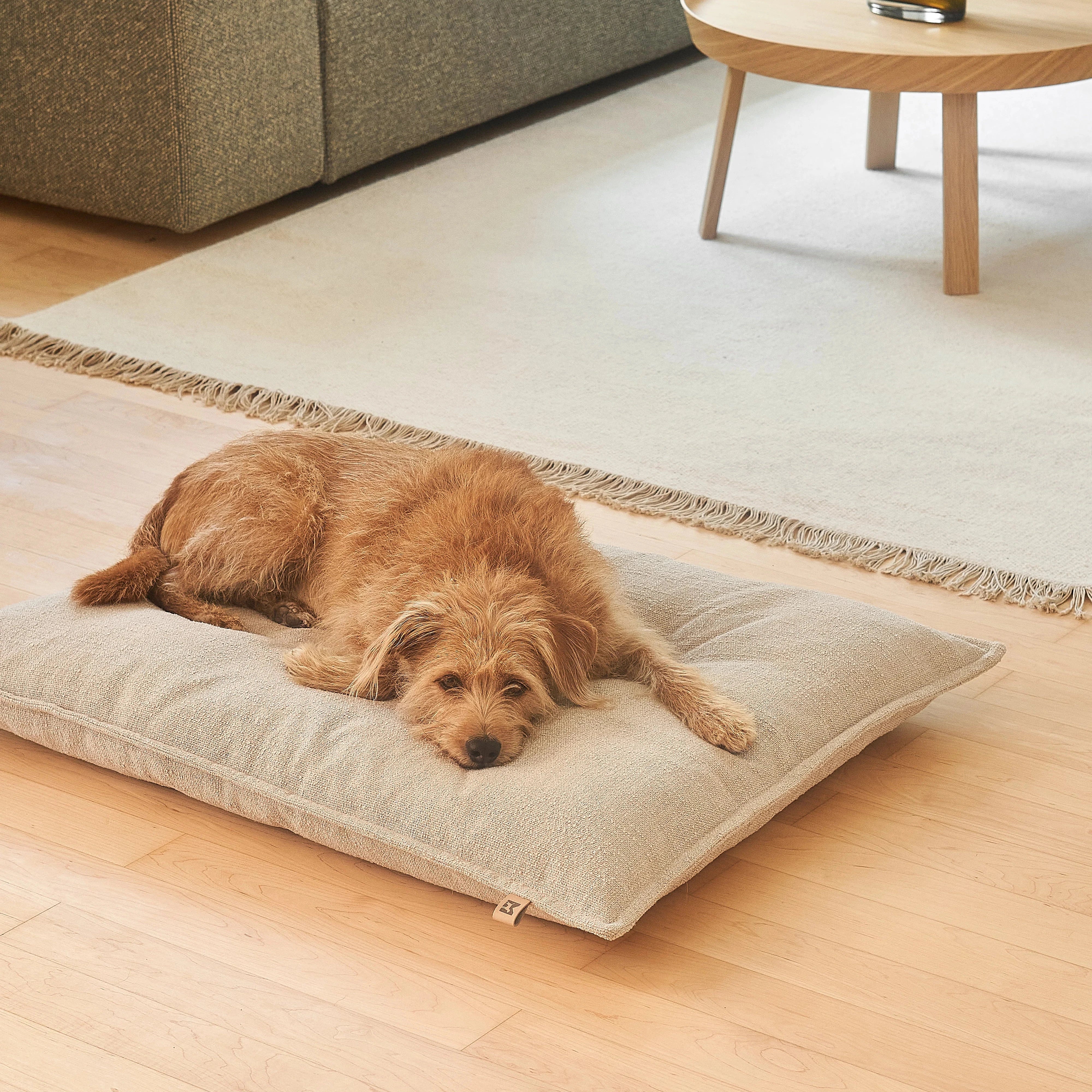 Couchage design Campo – accessoire premium pour chien