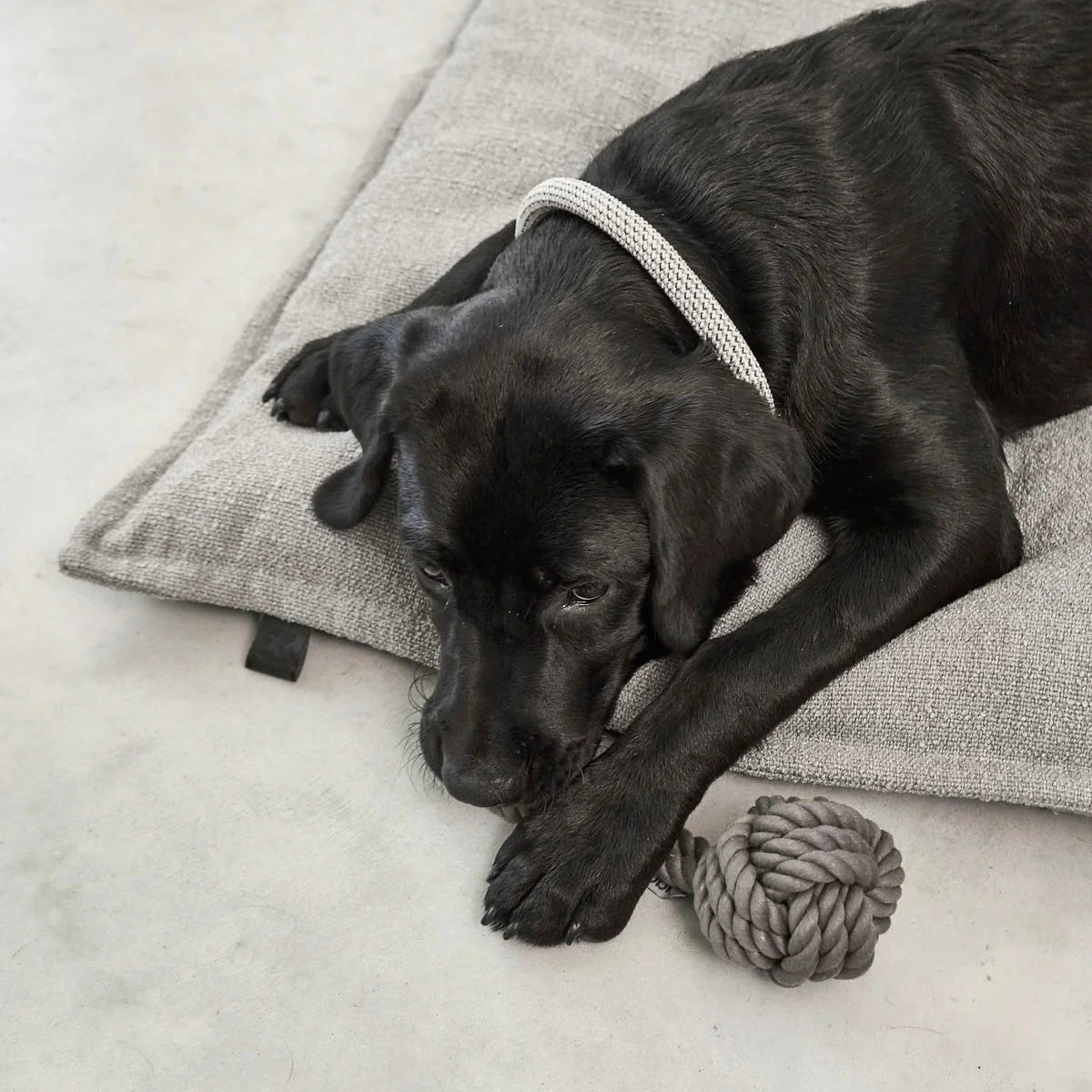 MiaCara Campo – coussin confortable pour chien