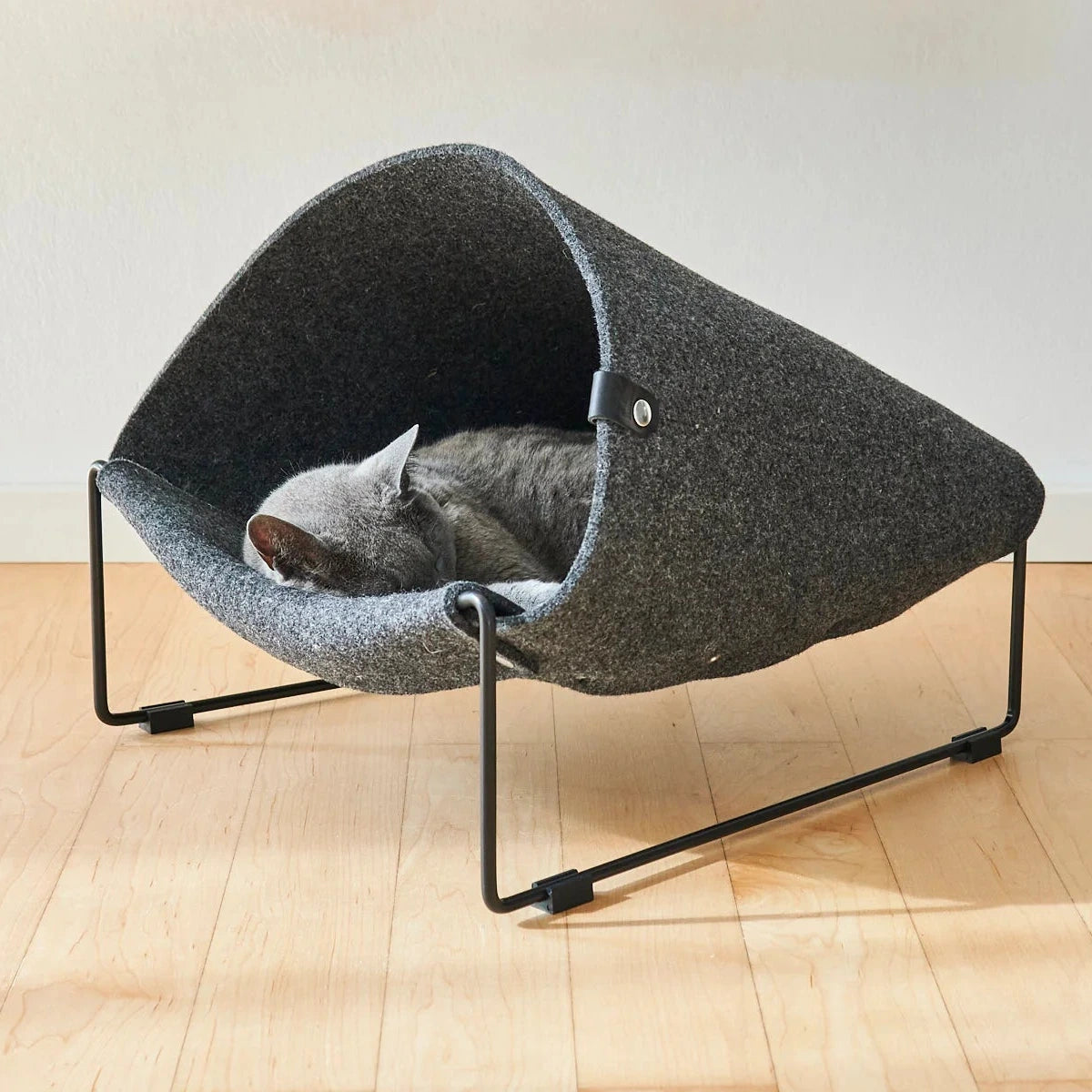 Chat reposant dans la Loggia MiaCara dans un salon moderne