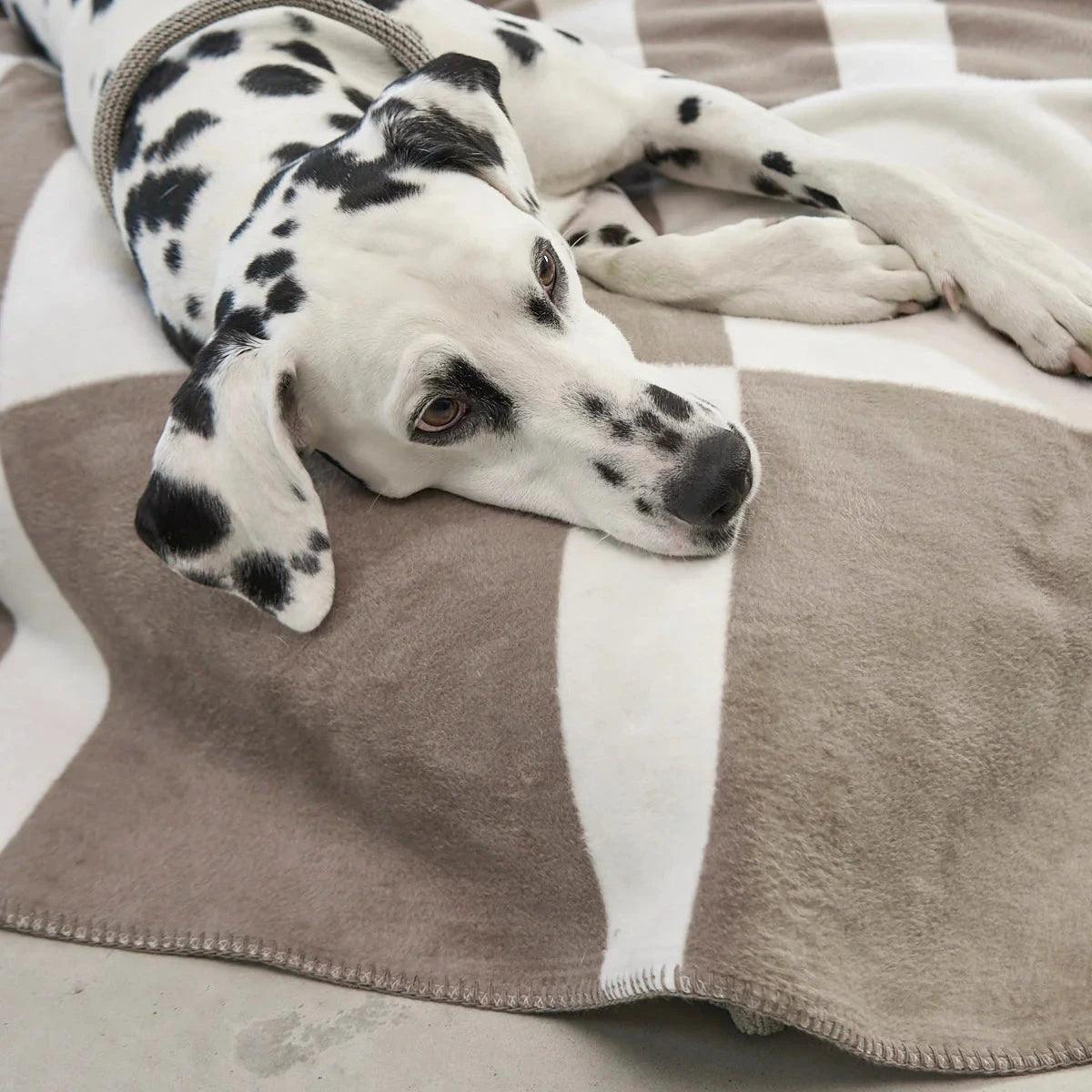 Blocco – Plaid design