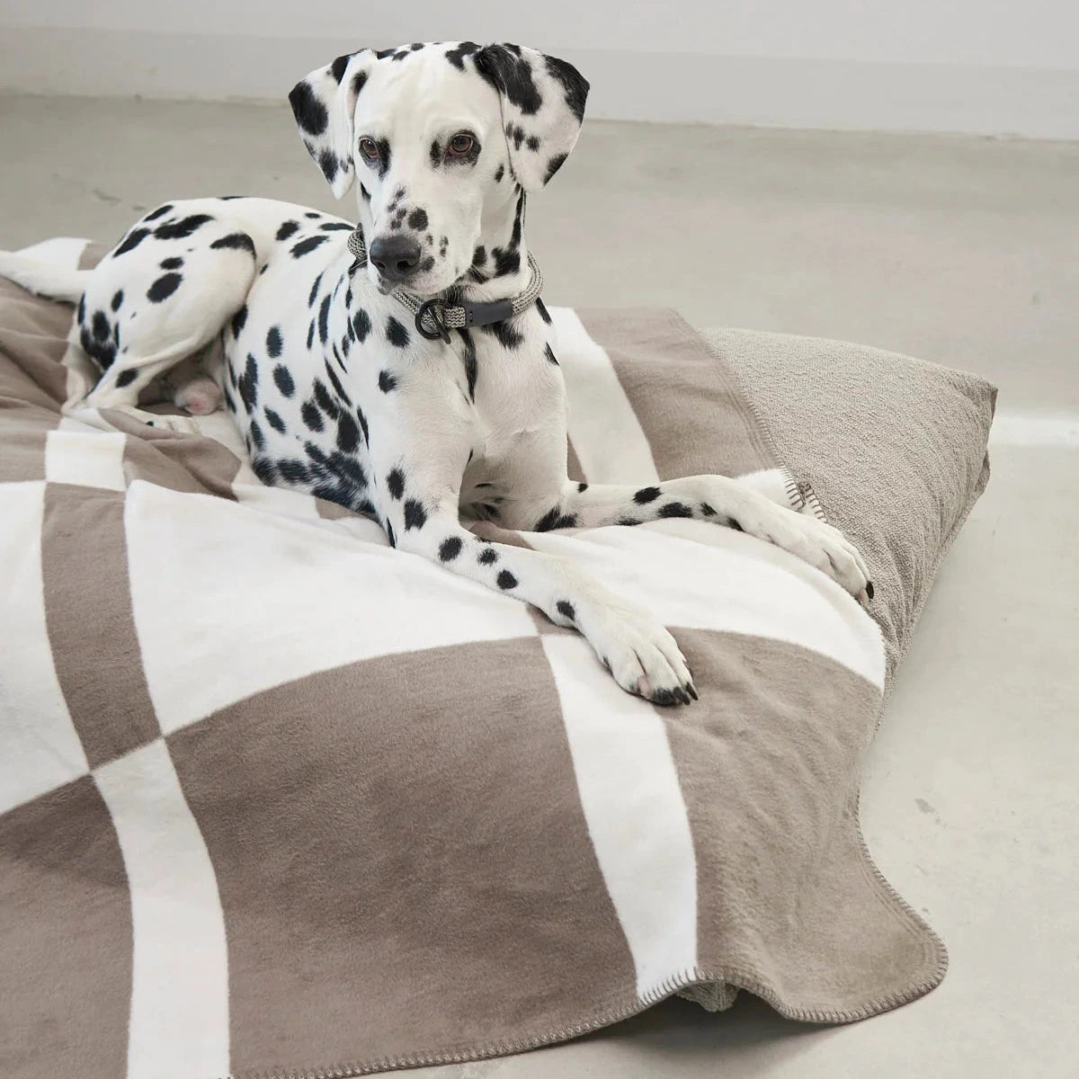 Blocco – Plaid design