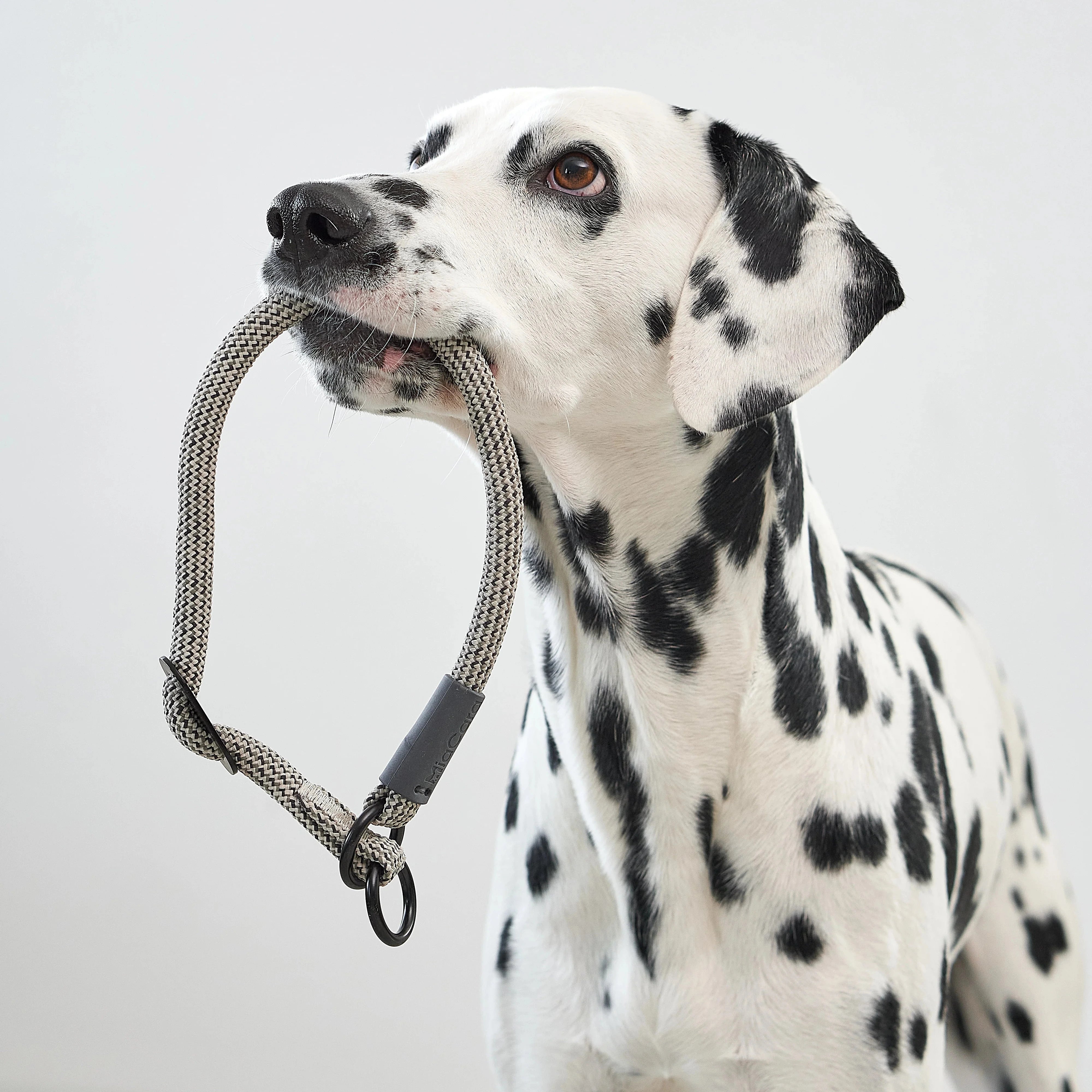 Monza – Collier design en corde nylon premium