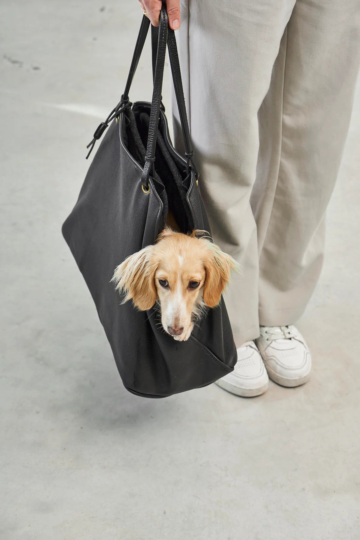 Sac transport chien design Borsa – vue latérale premium