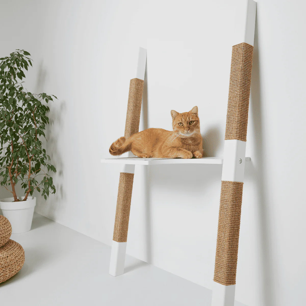 H1 Blanc– Arbre à chat design