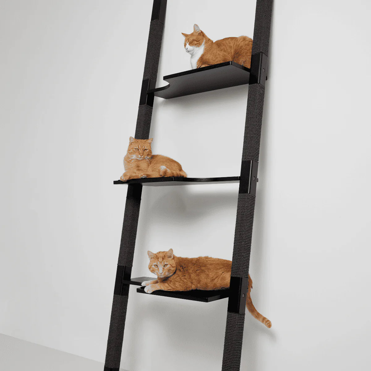 Arbre à chat moderne H-Tree H3 pour salons et espaces design