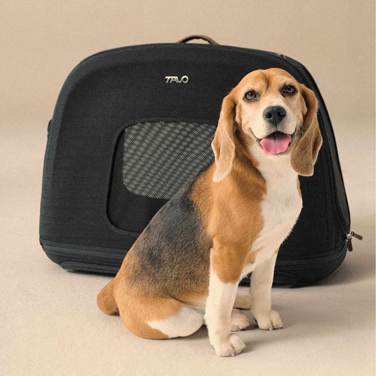 Crispin – caisse de voyage design et crash‑testé pour chien ou chat