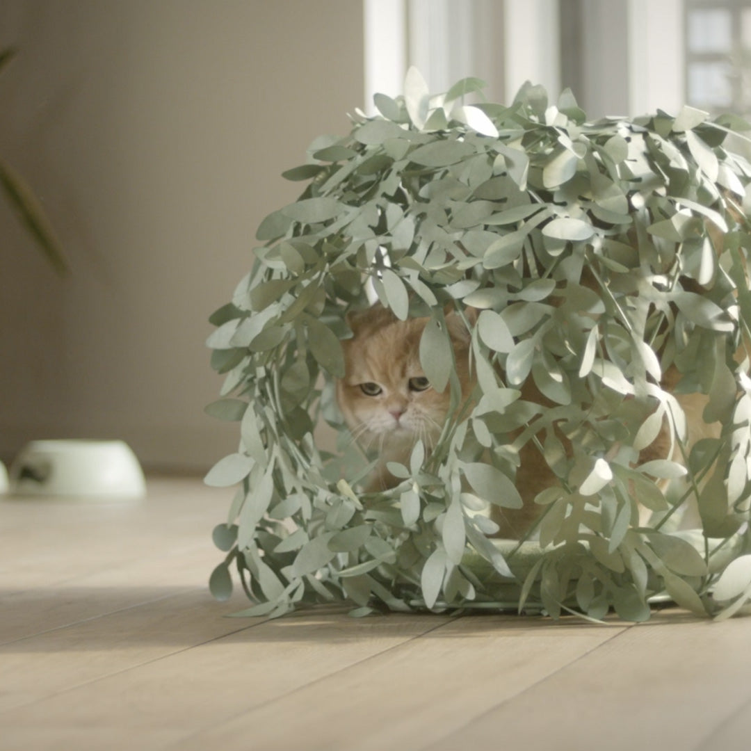 Cat Bush – Cachette Design et Naturelle pour Chats