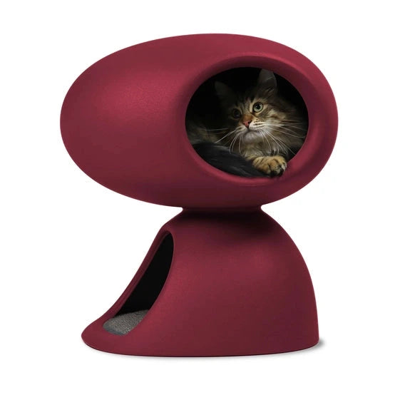 Cat Cave – Abri Design et Ludique pour Chats