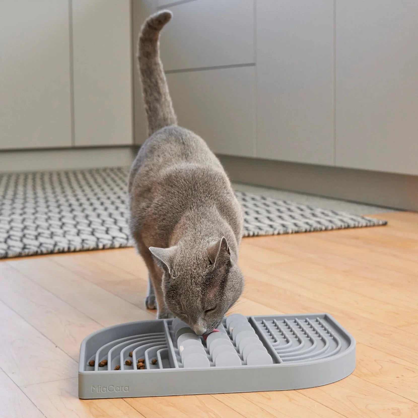 Aperitivo – Tapis d’activité design pour chat