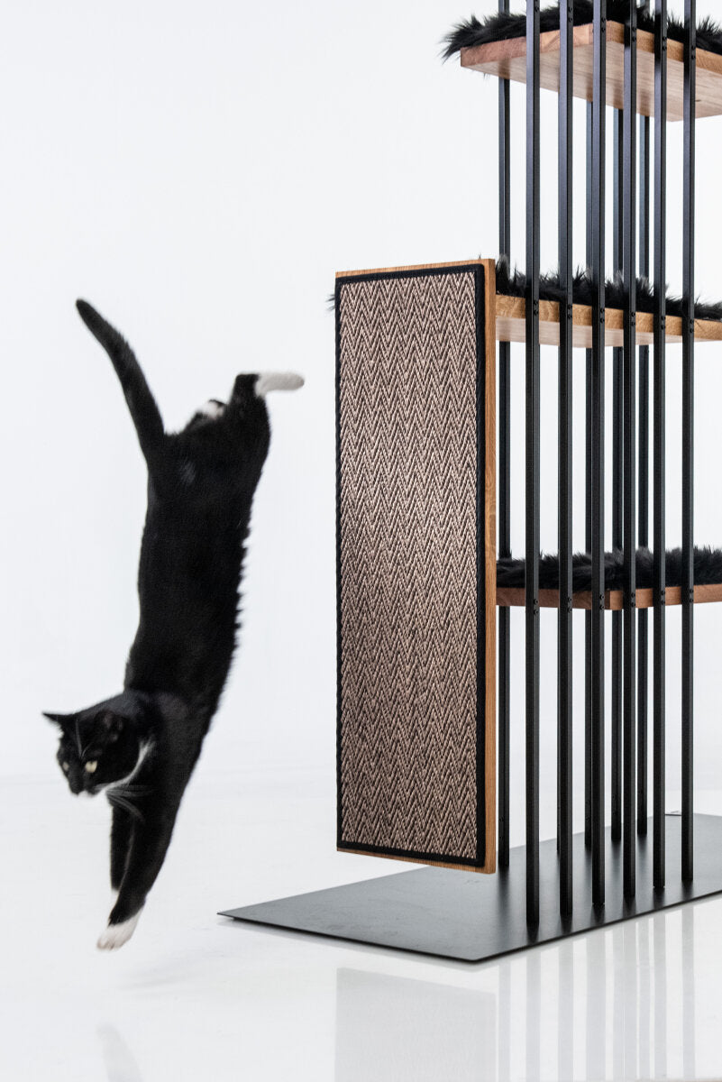 Arbre à chat Noir Design Luxe | LOZAMO MS210