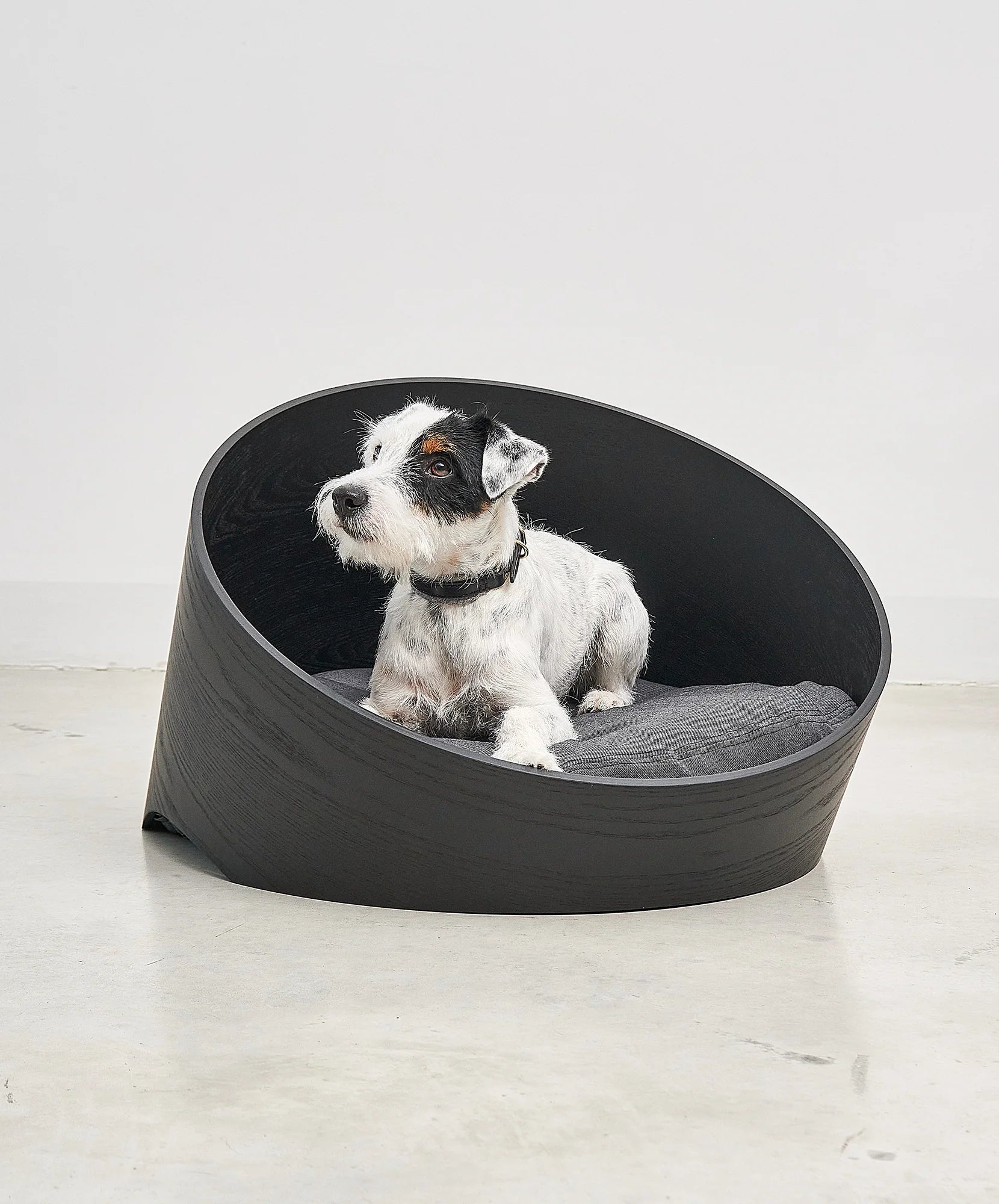 COVO Dog