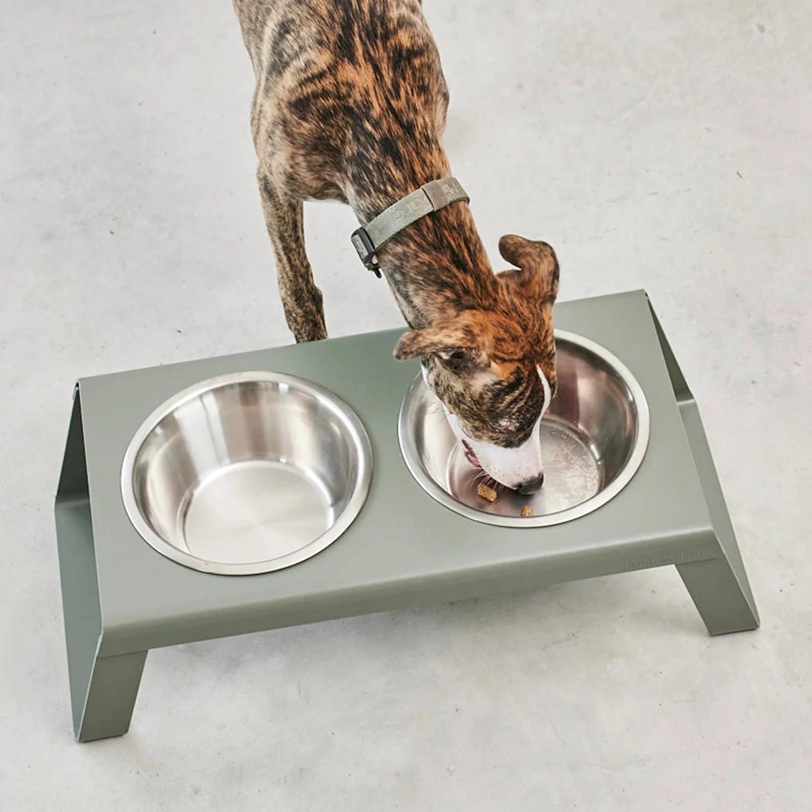 Support gamelles surélevé design – intérieur contemporain