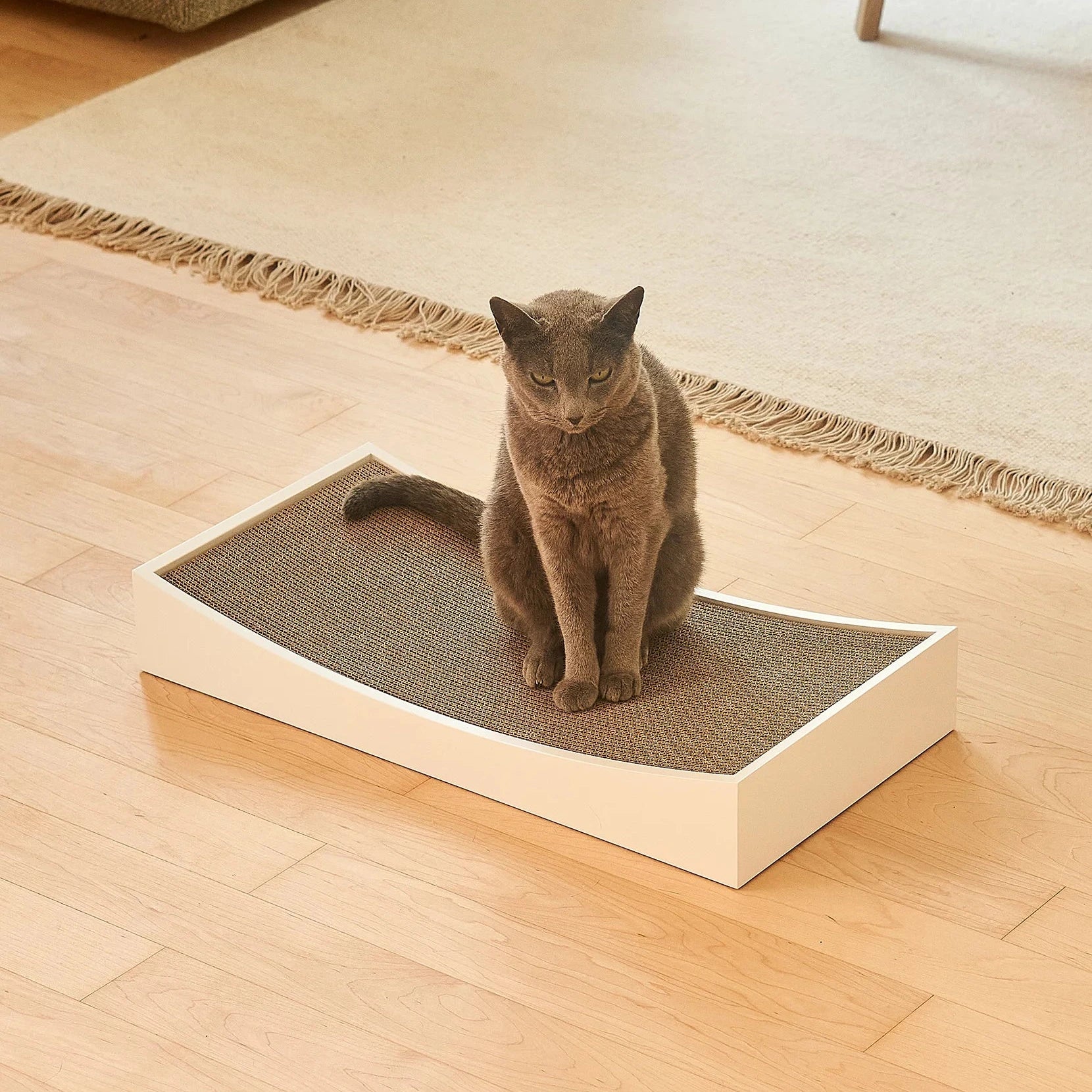 Gratta – Rechange en carton écologique pour griffoir
