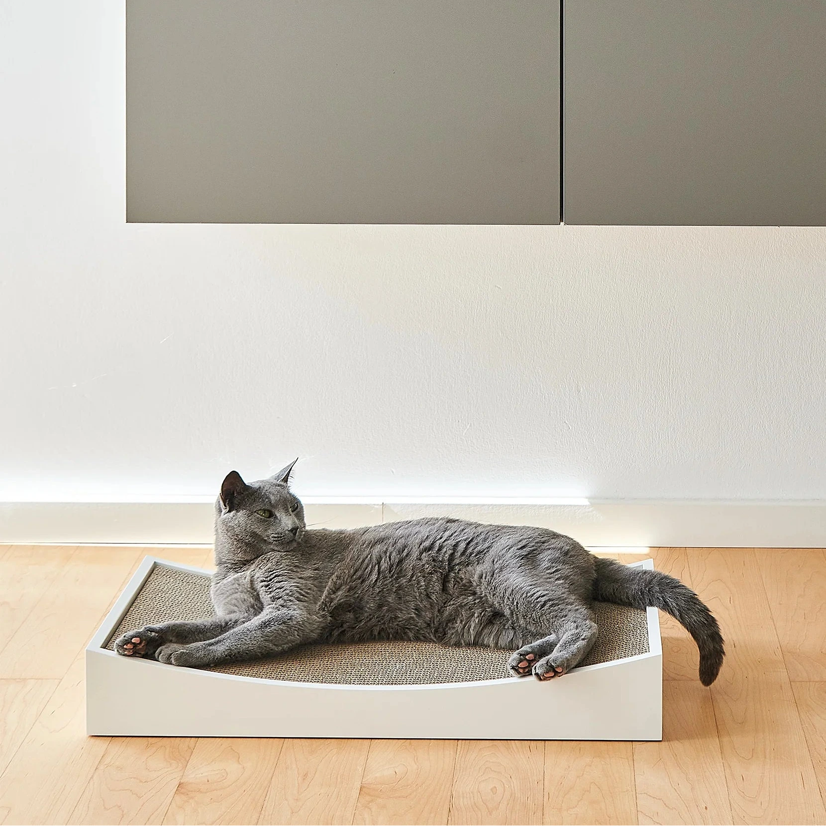 Gratta – Griffoir design et durable