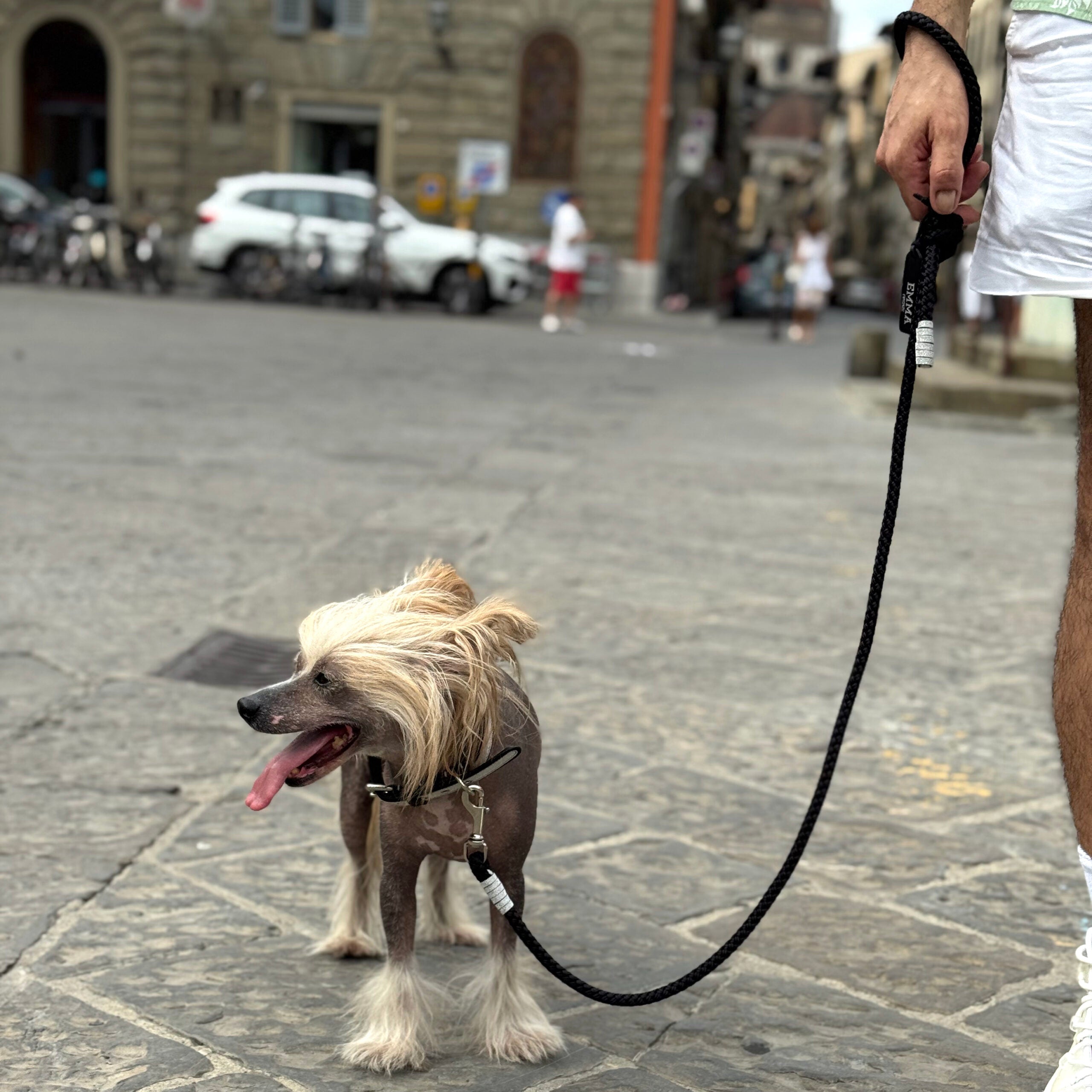 Détail cuir pailleté argent sur laisse pour chien design haut de gamme