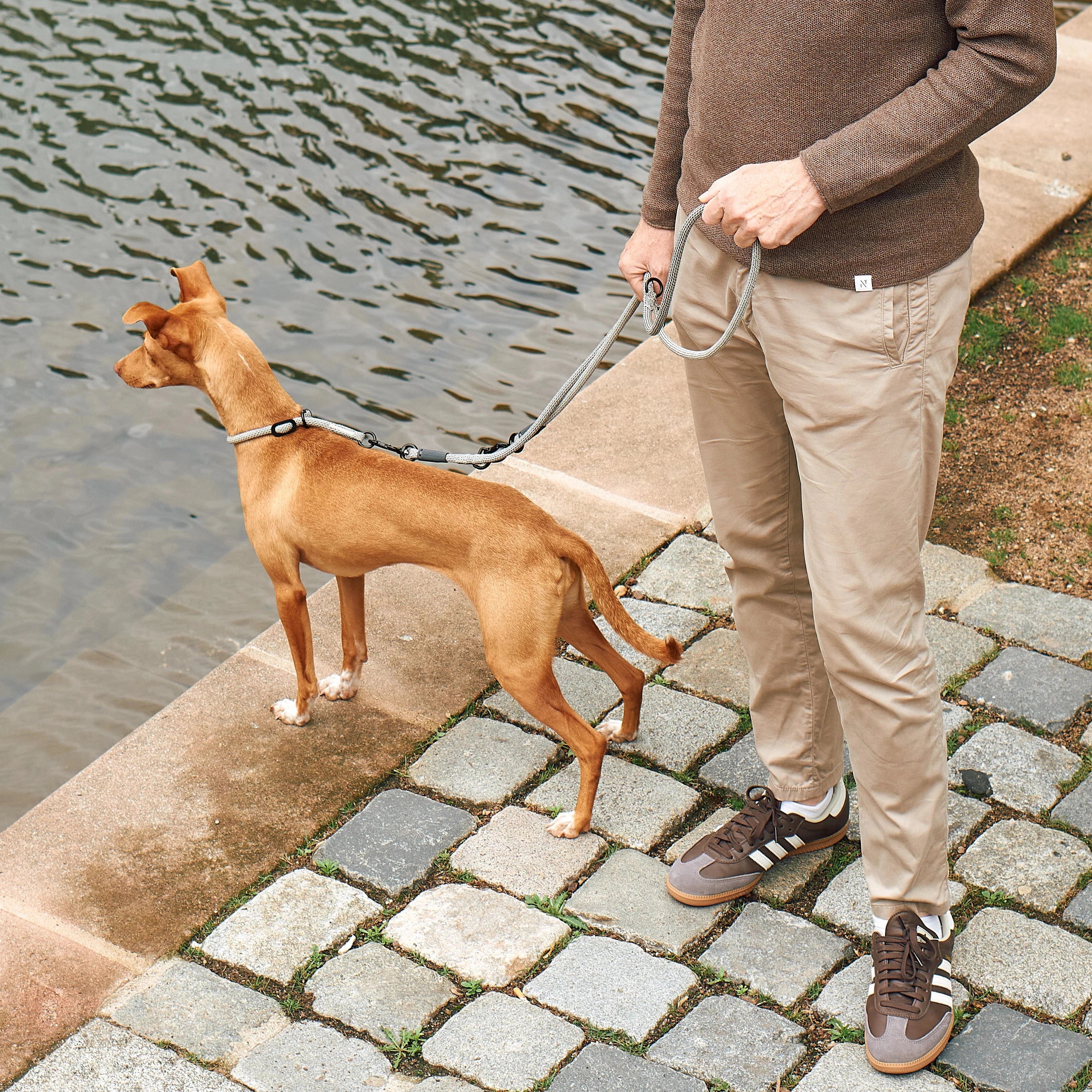 Monza – Laisse design en corde nylon premium