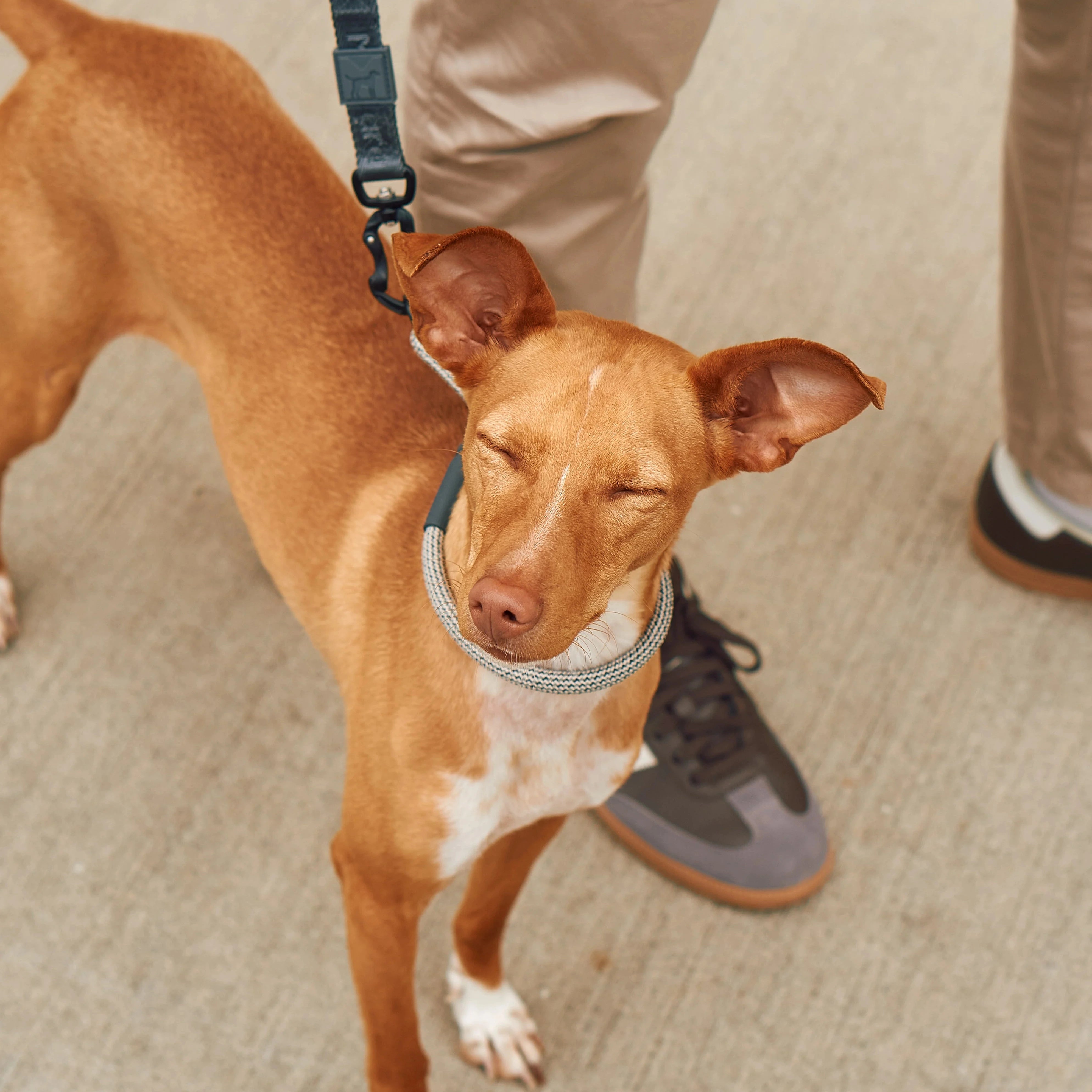 Monza – Collier design en corde nylon premium